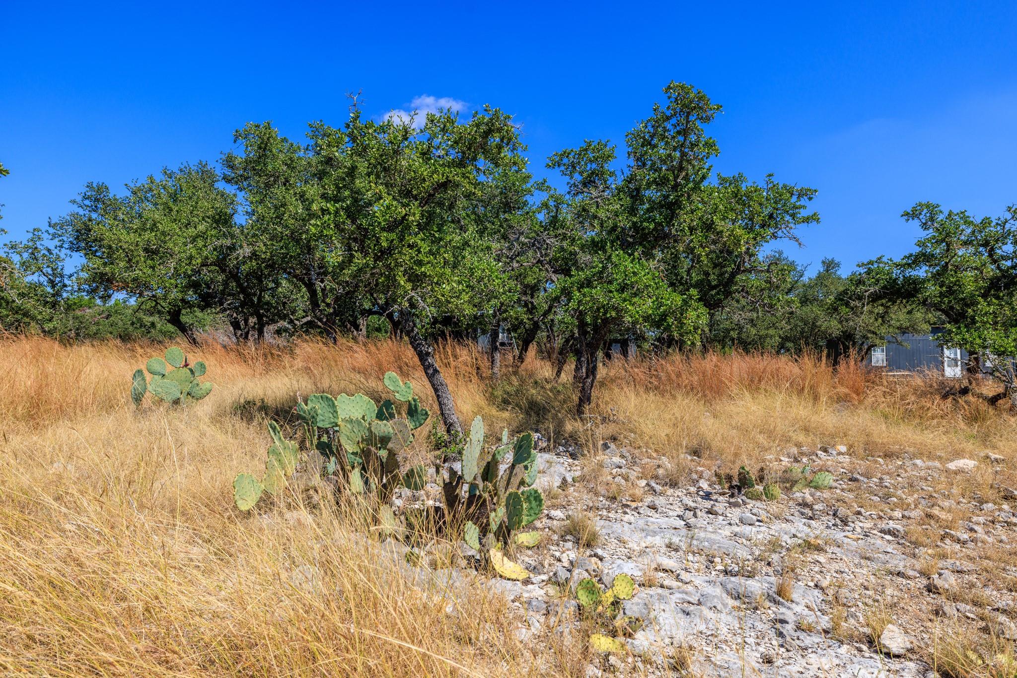 Lot 10 N Laird Rd, Harper, TX 78631