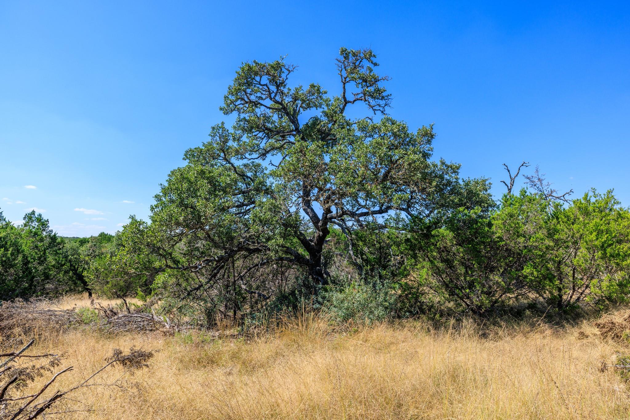 Lot 10 N Laird Rd, Harper, TX 78631
