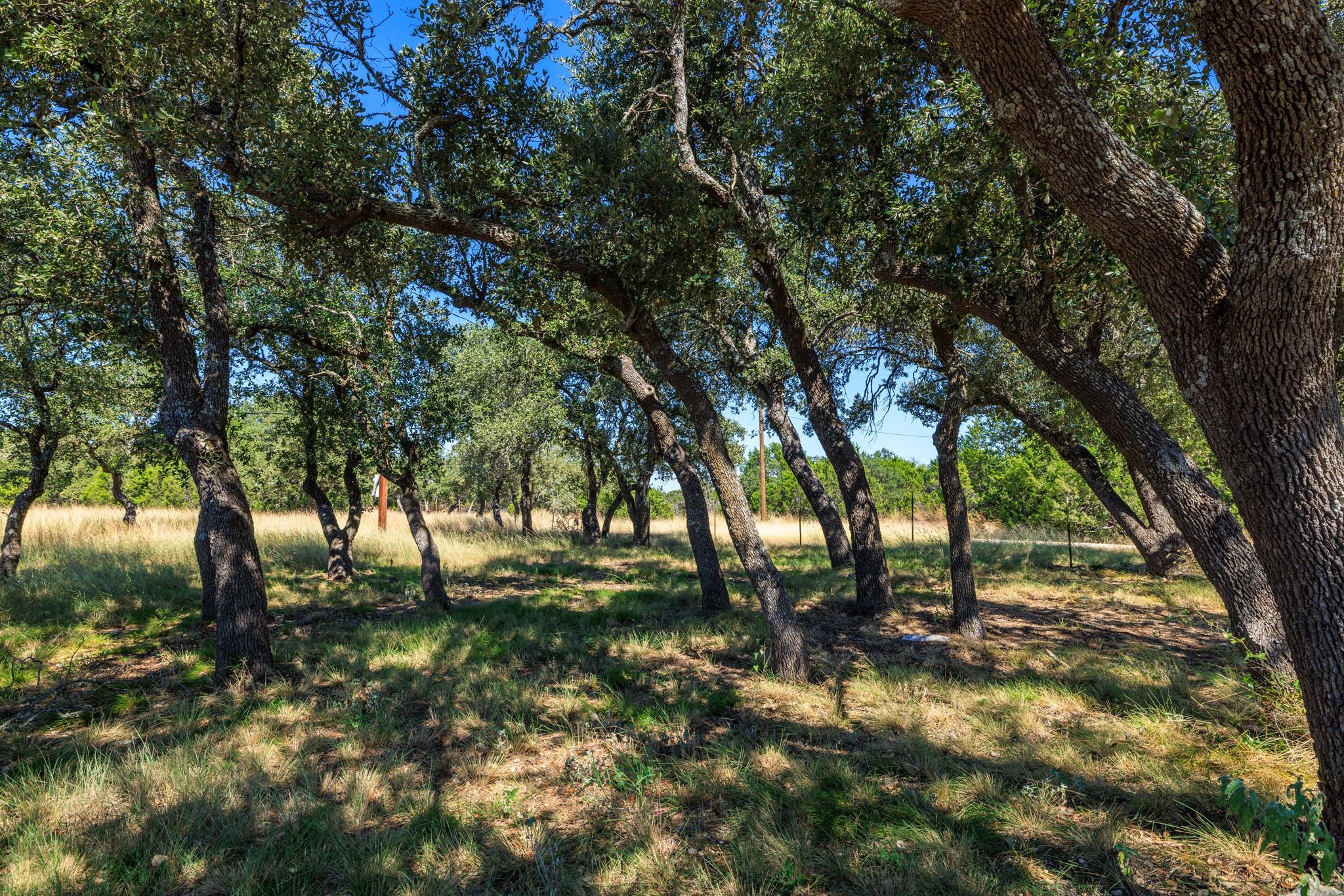 Lot 10 N Laird Rd, Harper, TX 78631