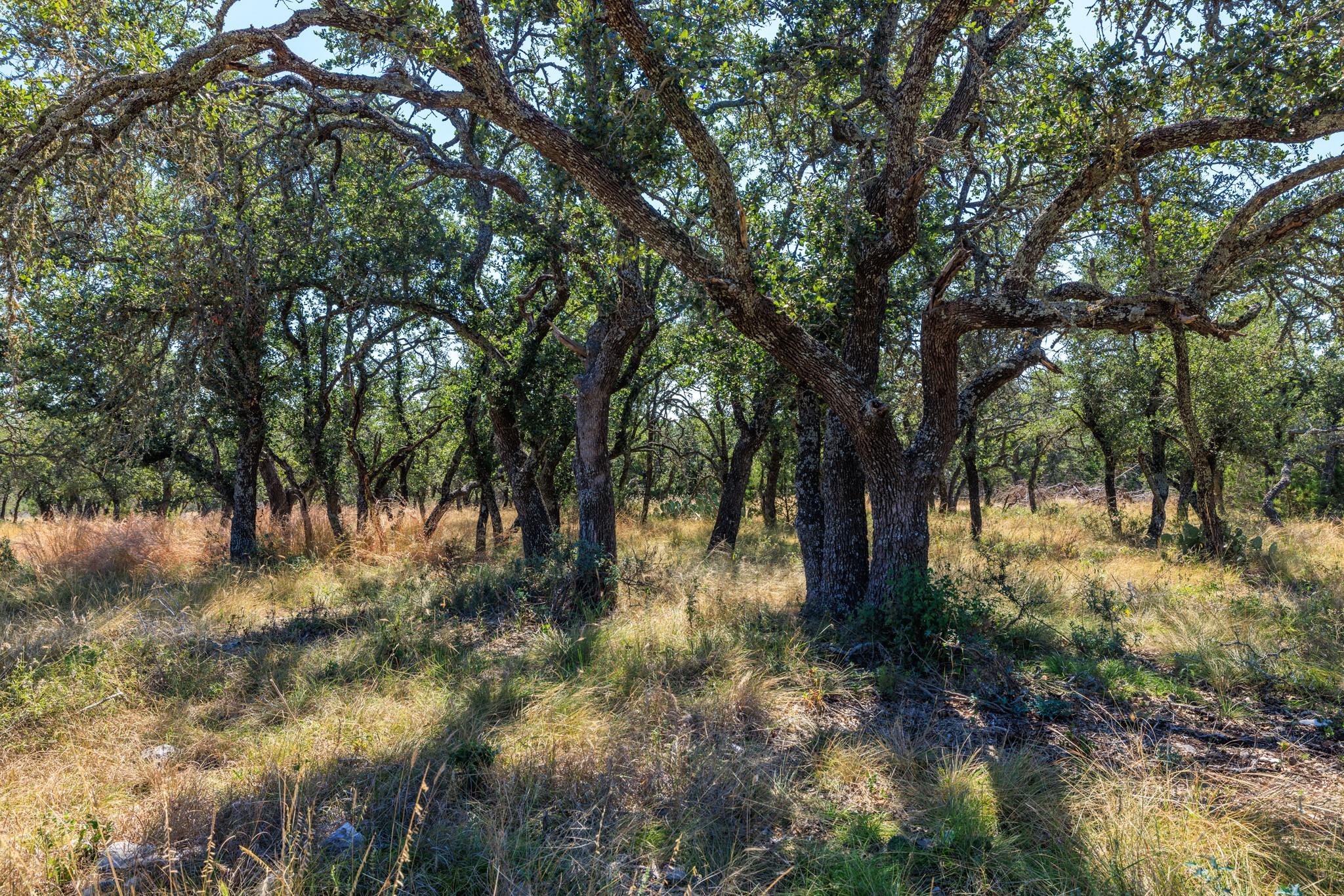 Lot 10 N Laird Rd, Harper, TX 78631