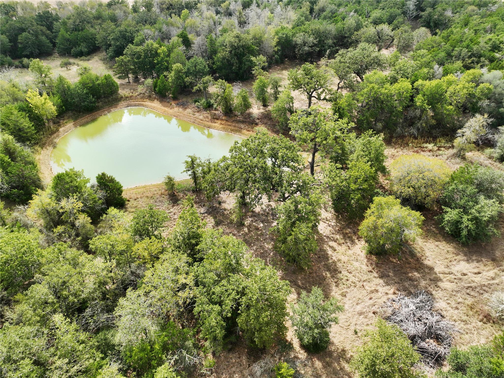 TBD Grassyville Rd, Paige, TX 78659