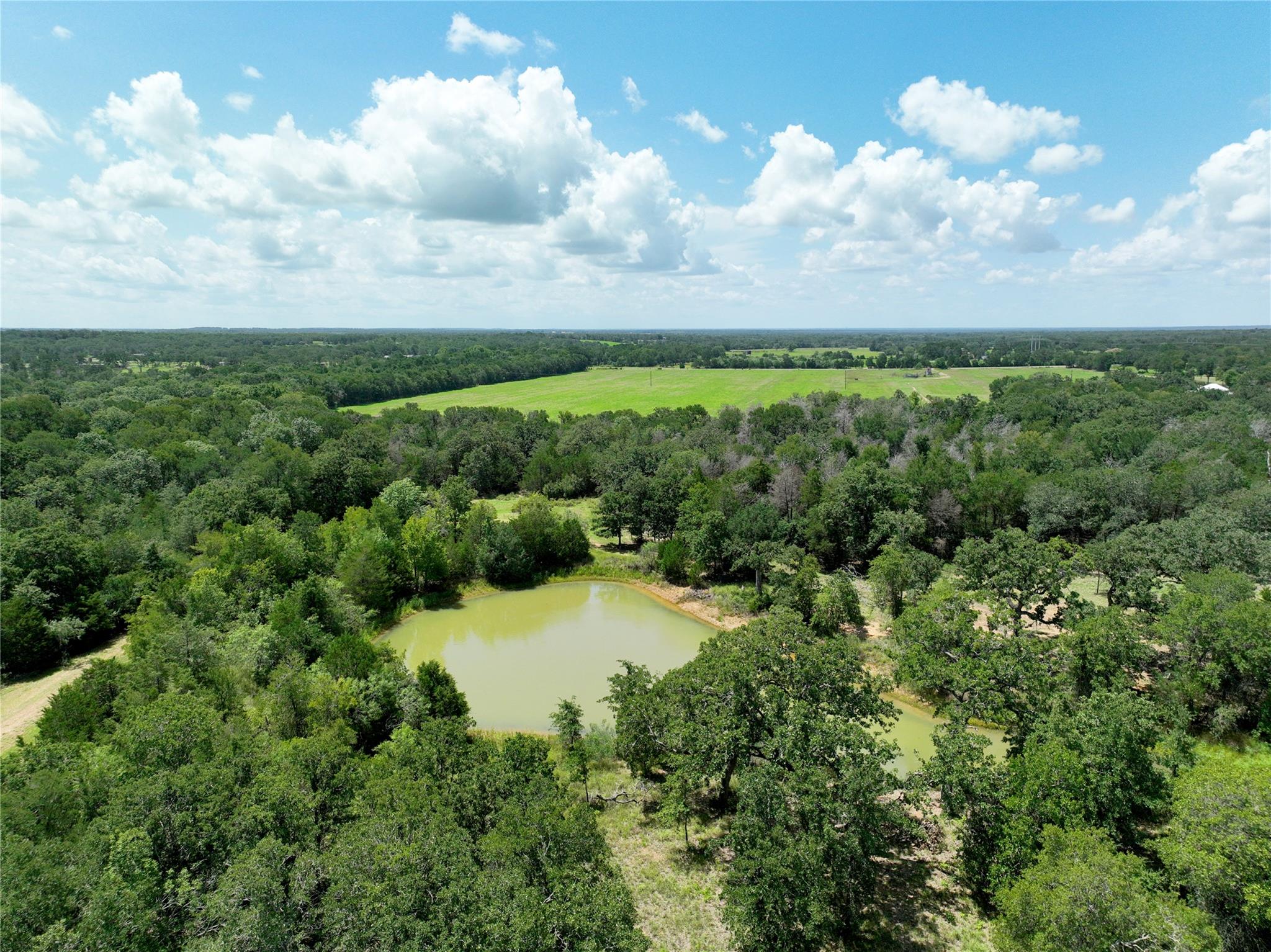 TBD Grassyville Rd, Paige, TX 78659
