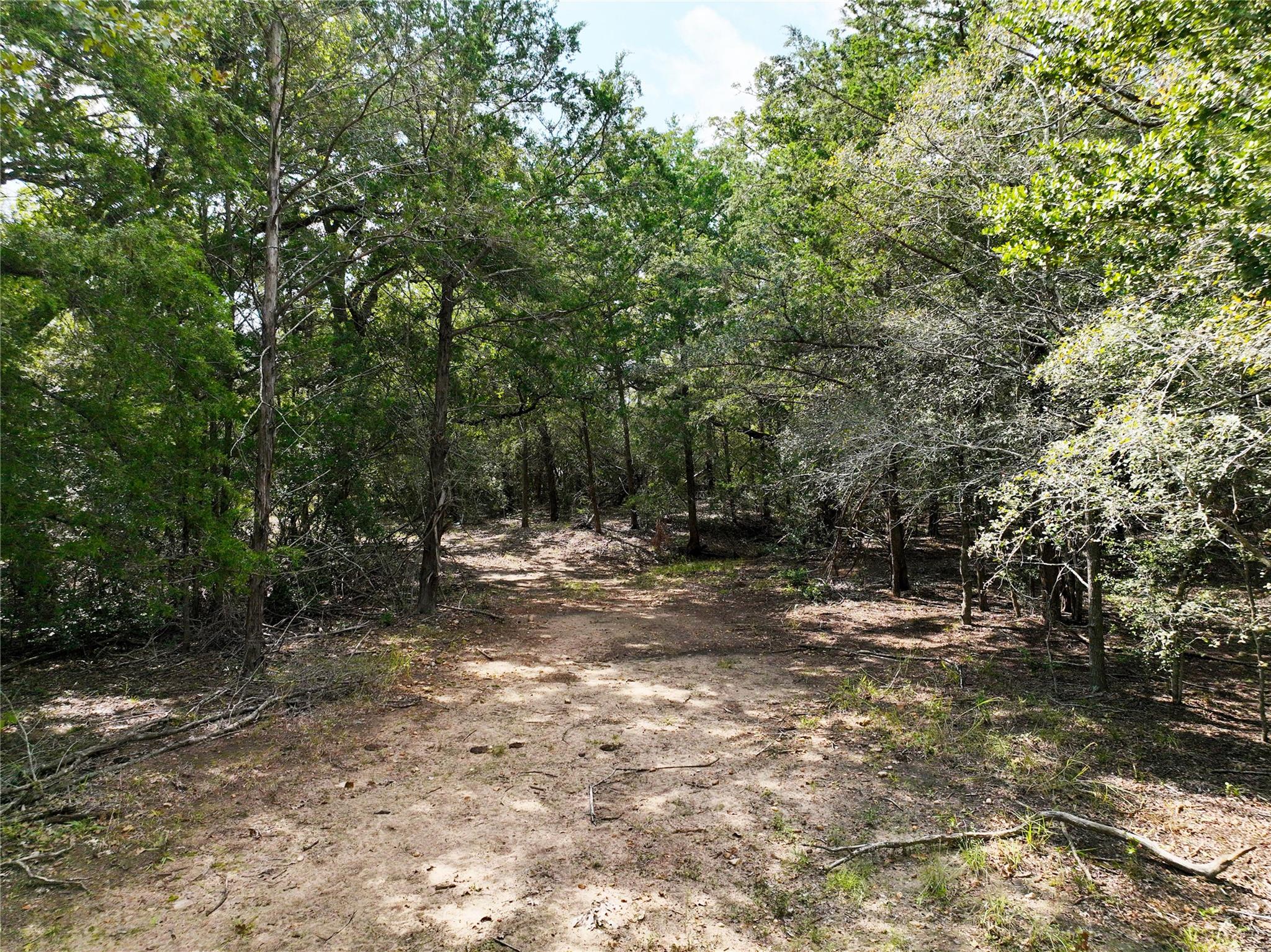 TBD Grassyville Rd, Paige, TX 78659