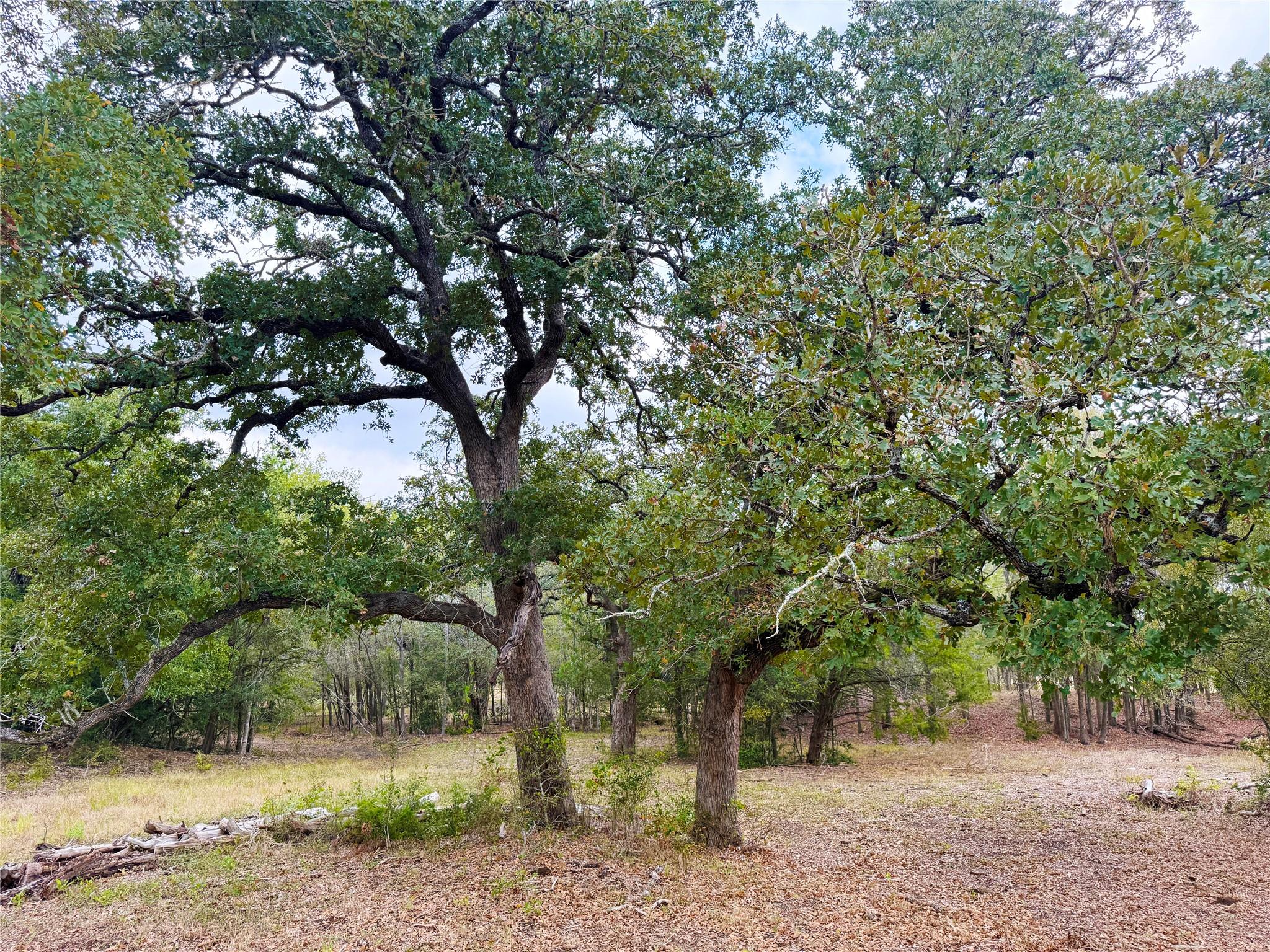 TBD Grassyville Rd, Paige, TX 78659