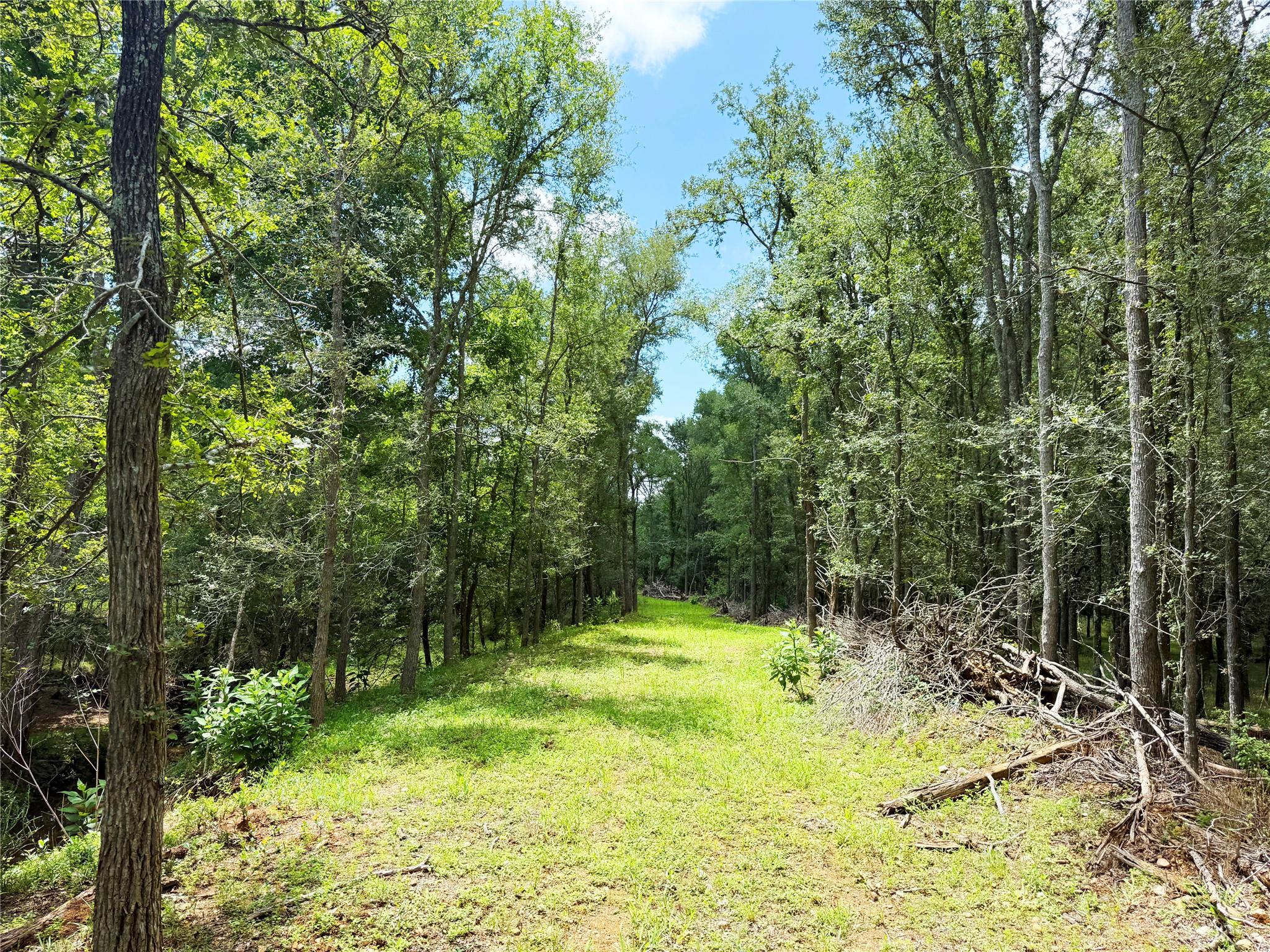 TBD Grassyville Rd, Paige, TX 78659