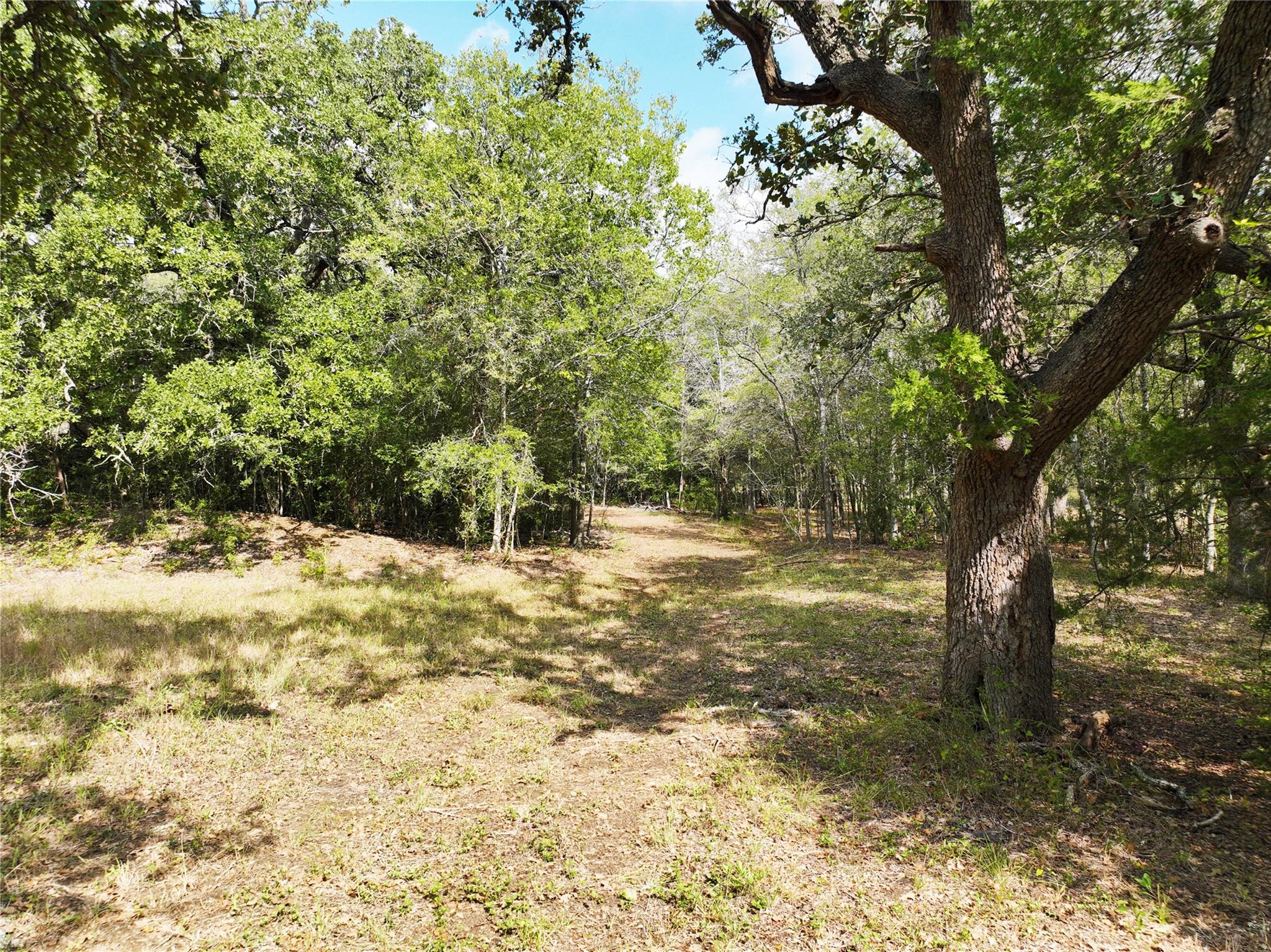 TBD Grassyville Rd, Paige, TX 78659