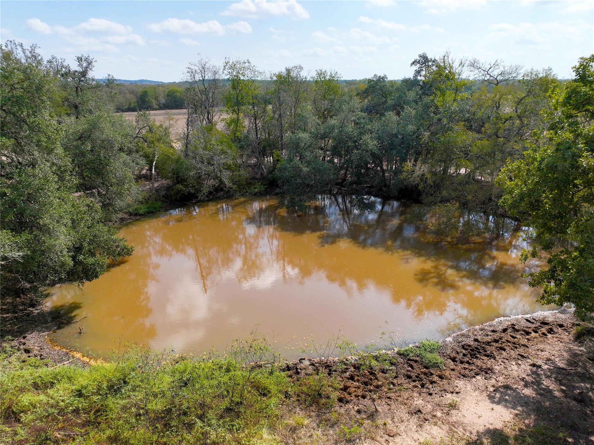 TBD Grassyville Rd, Paige, TX 78659