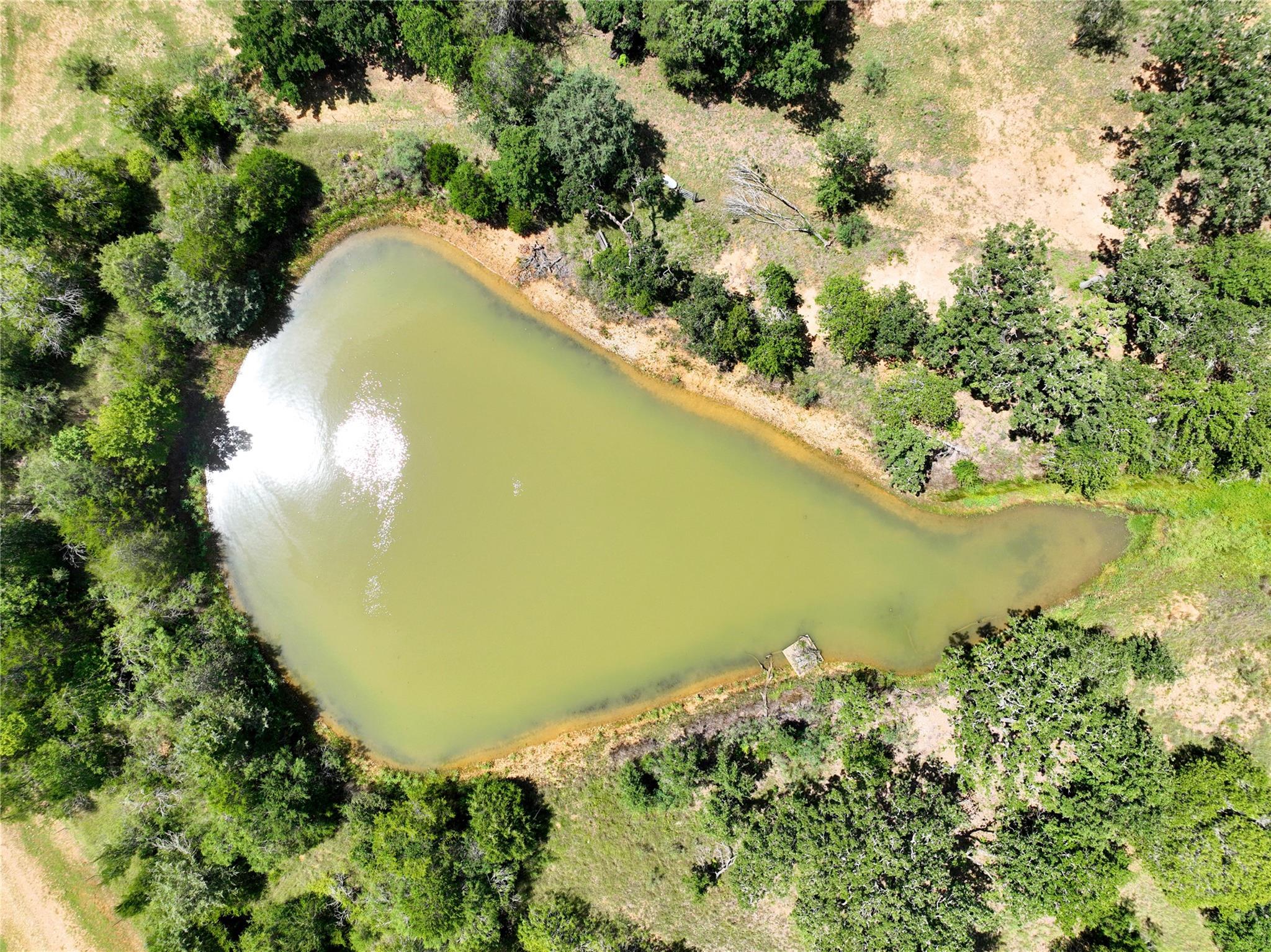 TBD Grassyville Rd, Paige, TX 78659