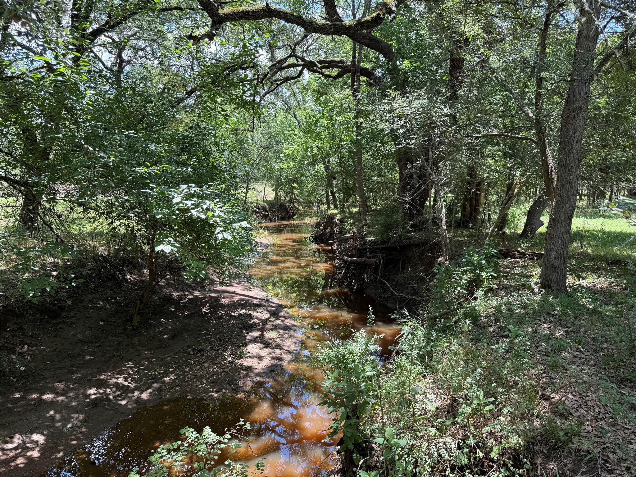 TBD Grassyville Rd, Paige, TX 78659