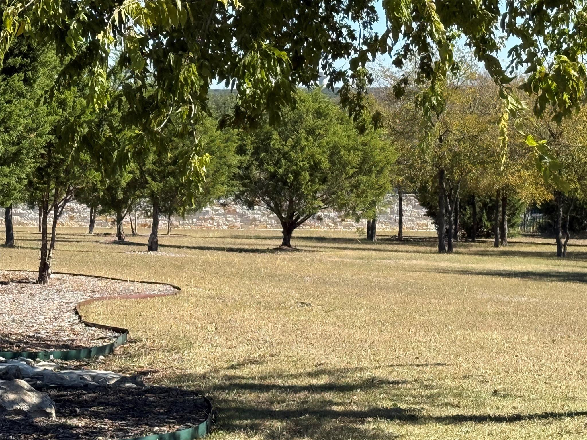 232 Standing Oak Dr, Georgetown, TX 78633