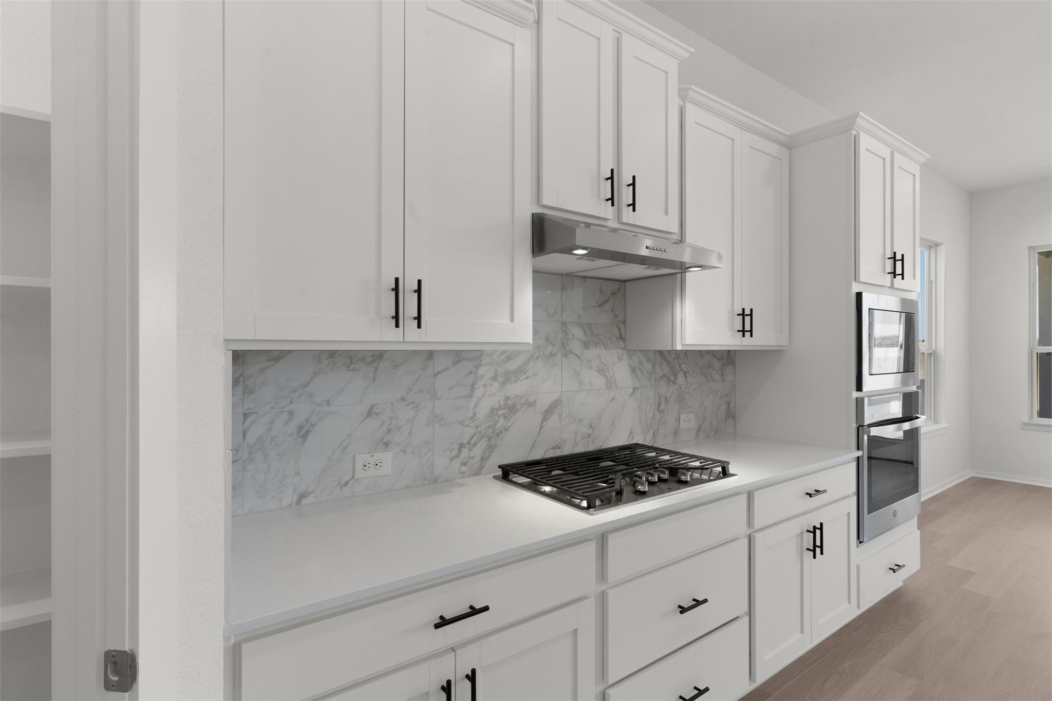 13609 Grassdale Vw, Manor, TX 78653