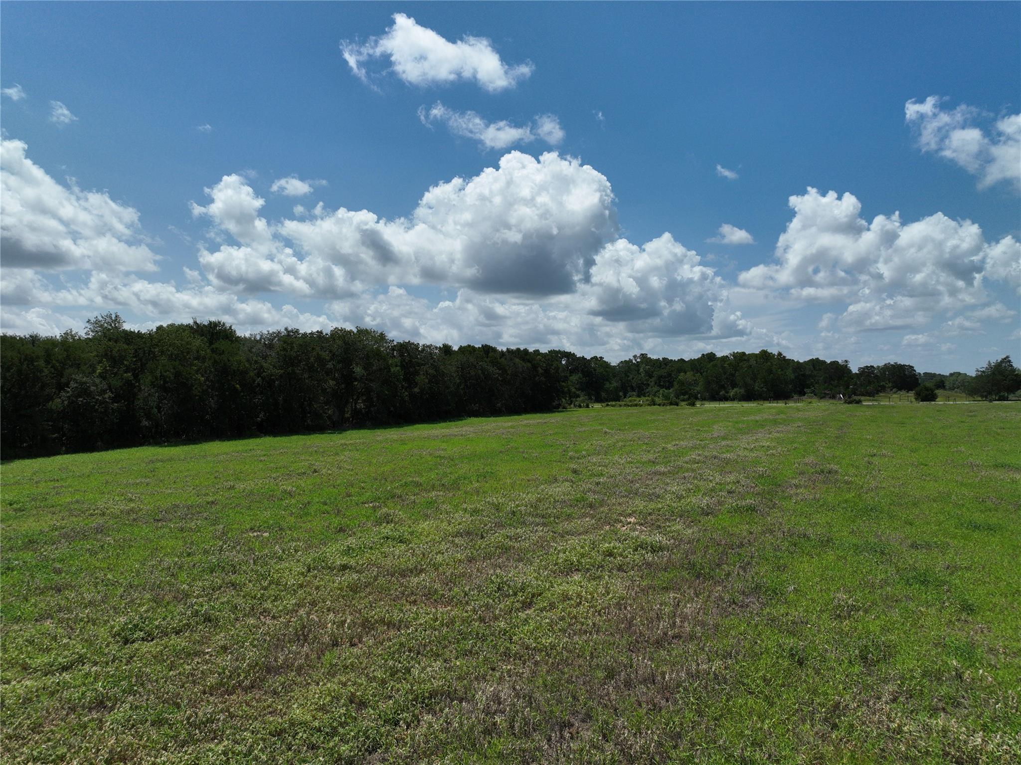 0000 FM 2239, Paige, TX 78659