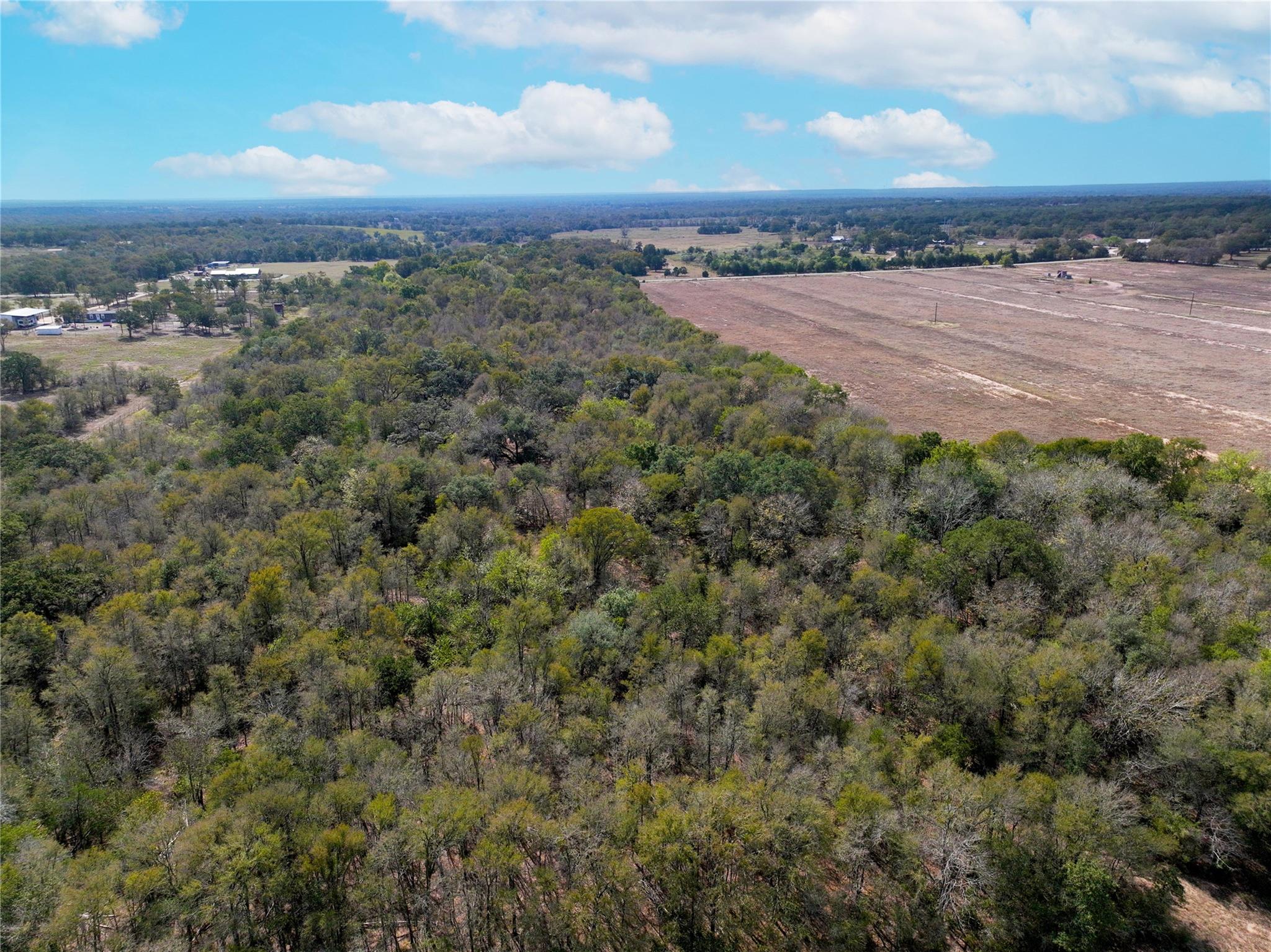 0000 FM 2239, Paige, TX 78659