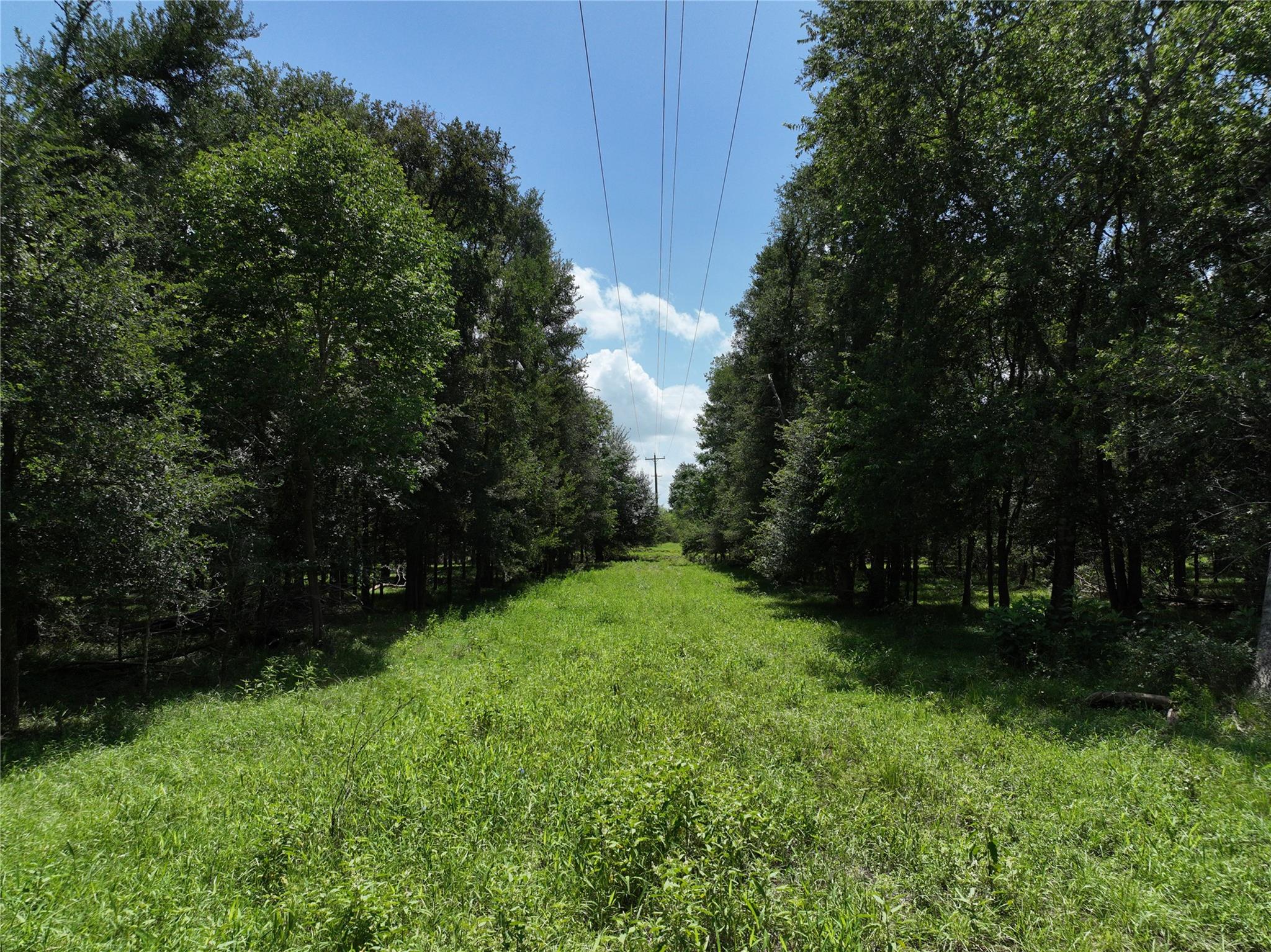 0000 FM 2239, Paige, TX 78659