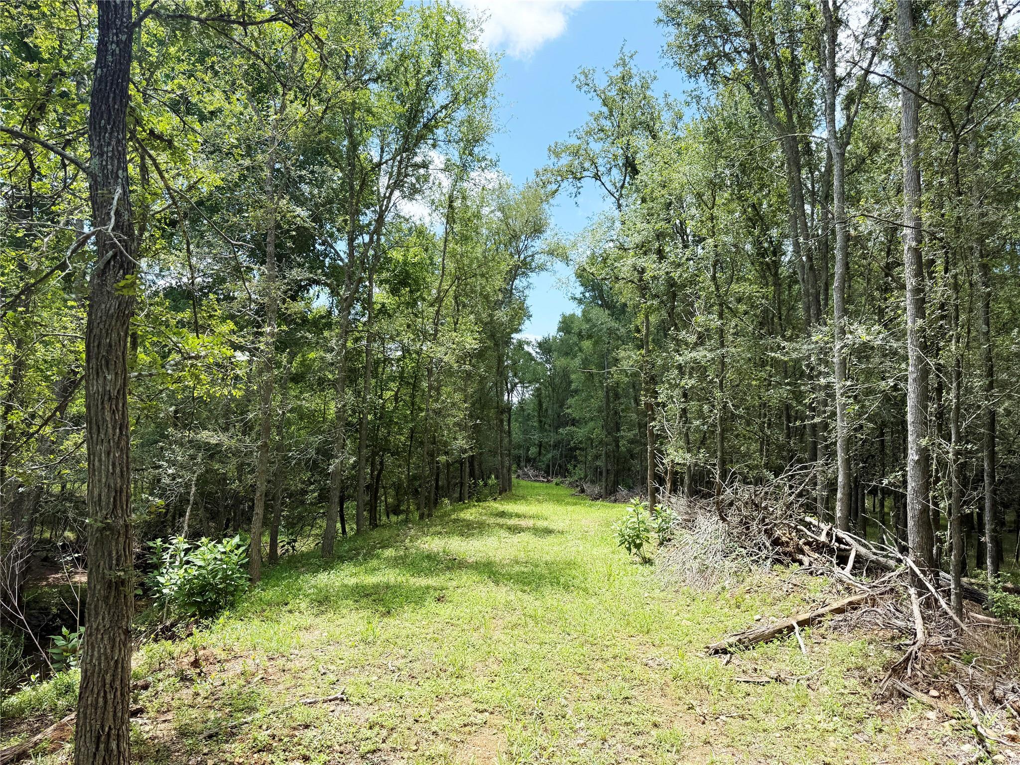 0000 FM 2239, Paige, TX 78659