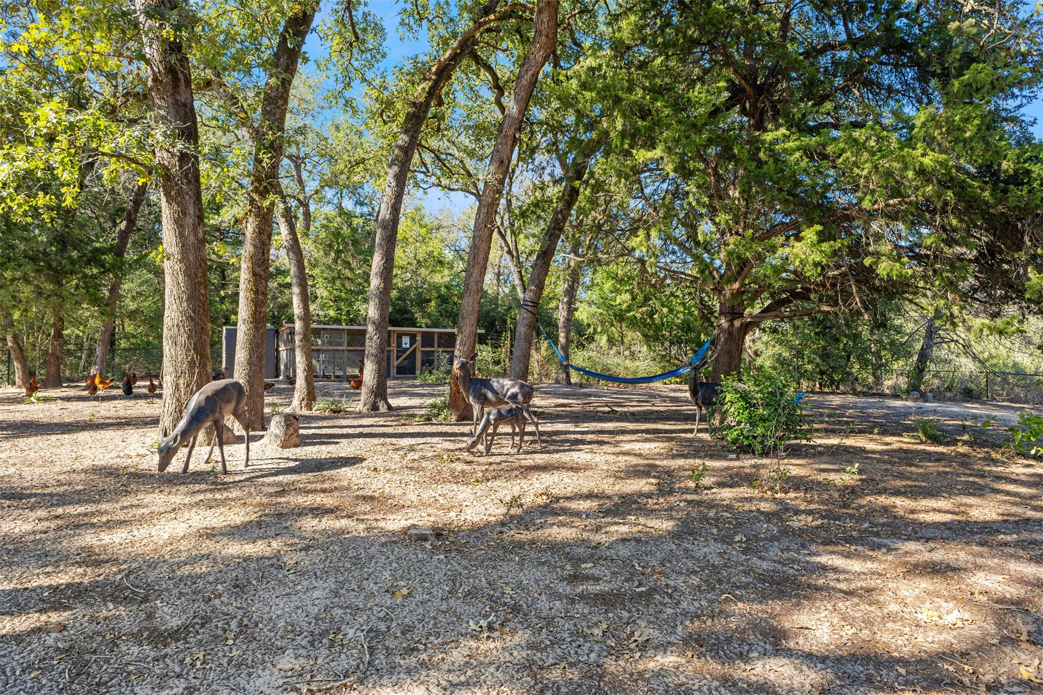 316 Holly Dr, Caldwell, TX 77836