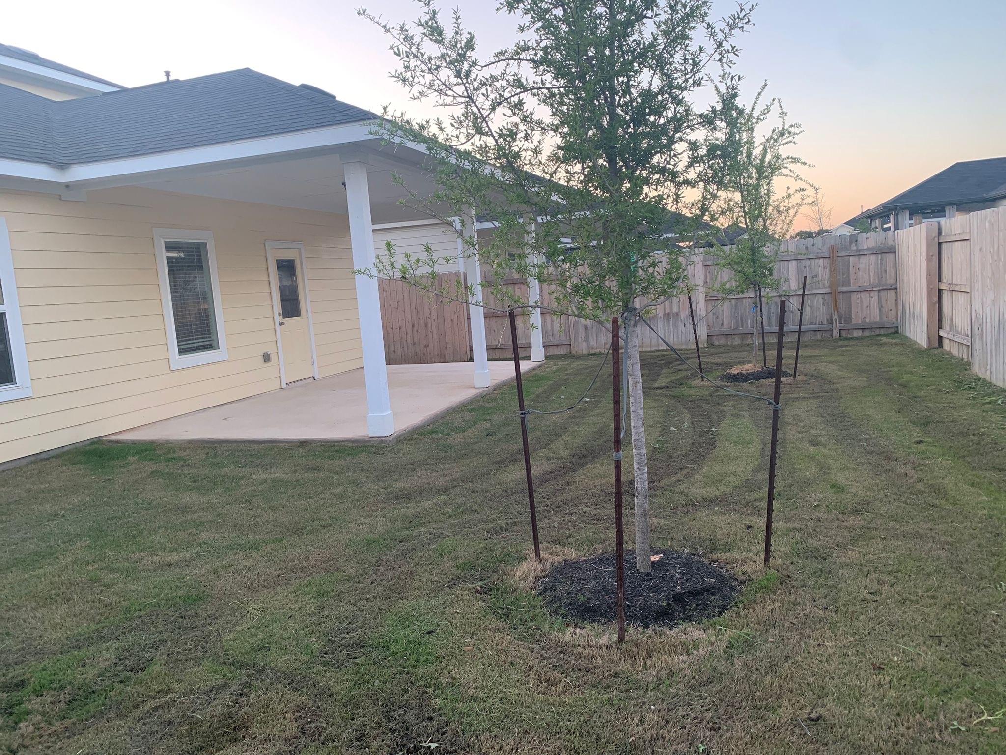 457 Blue Hibiscus Dr, Liberty Hill, TX 78642