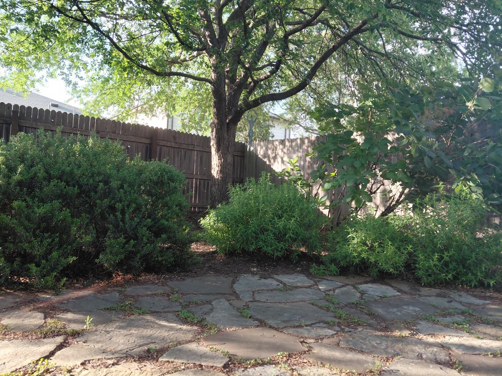 1612 Poppy Seed Ln, Austin, TX 78741