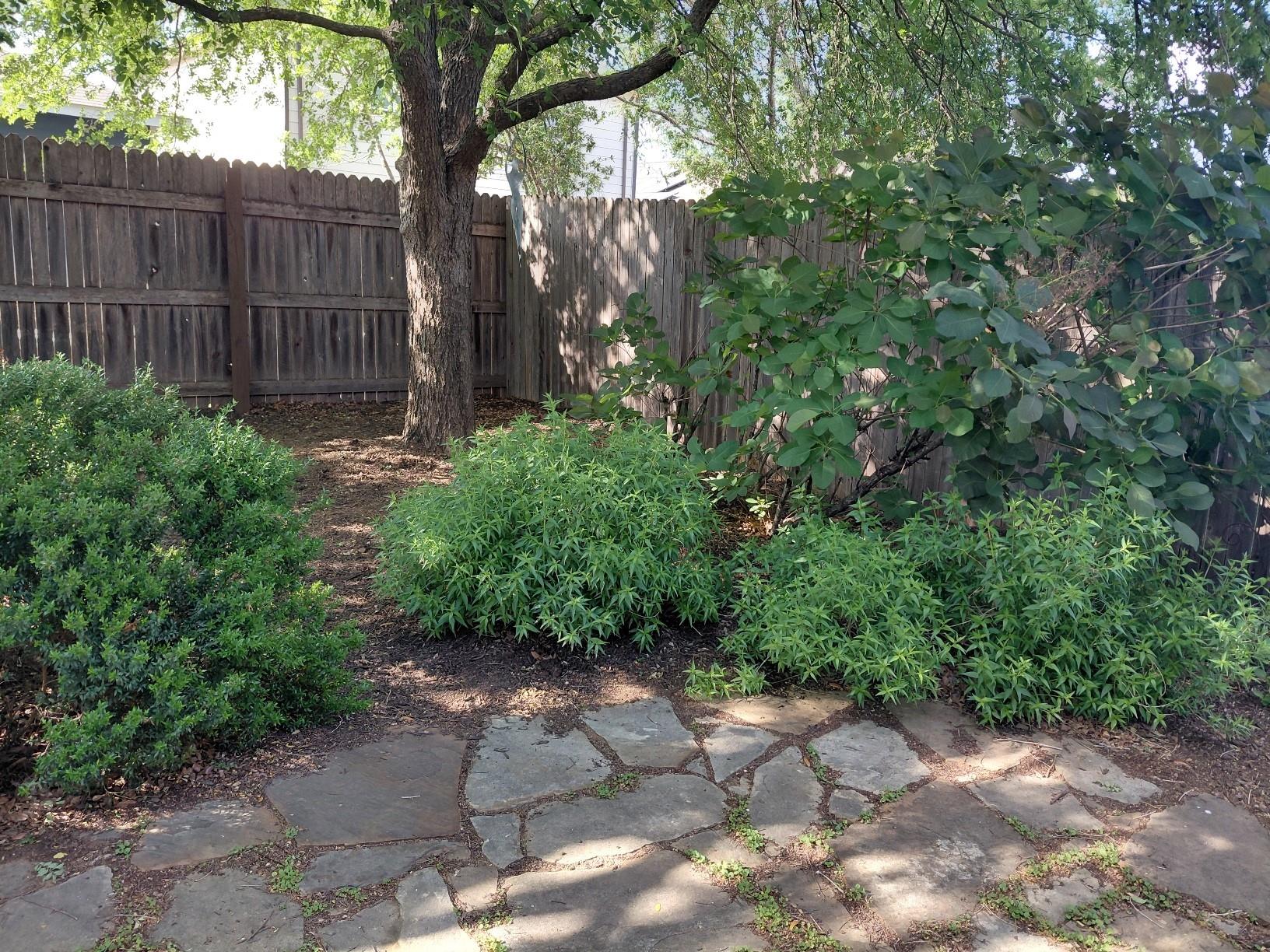 1612 Poppy Seed Ln, Austin, TX 78741