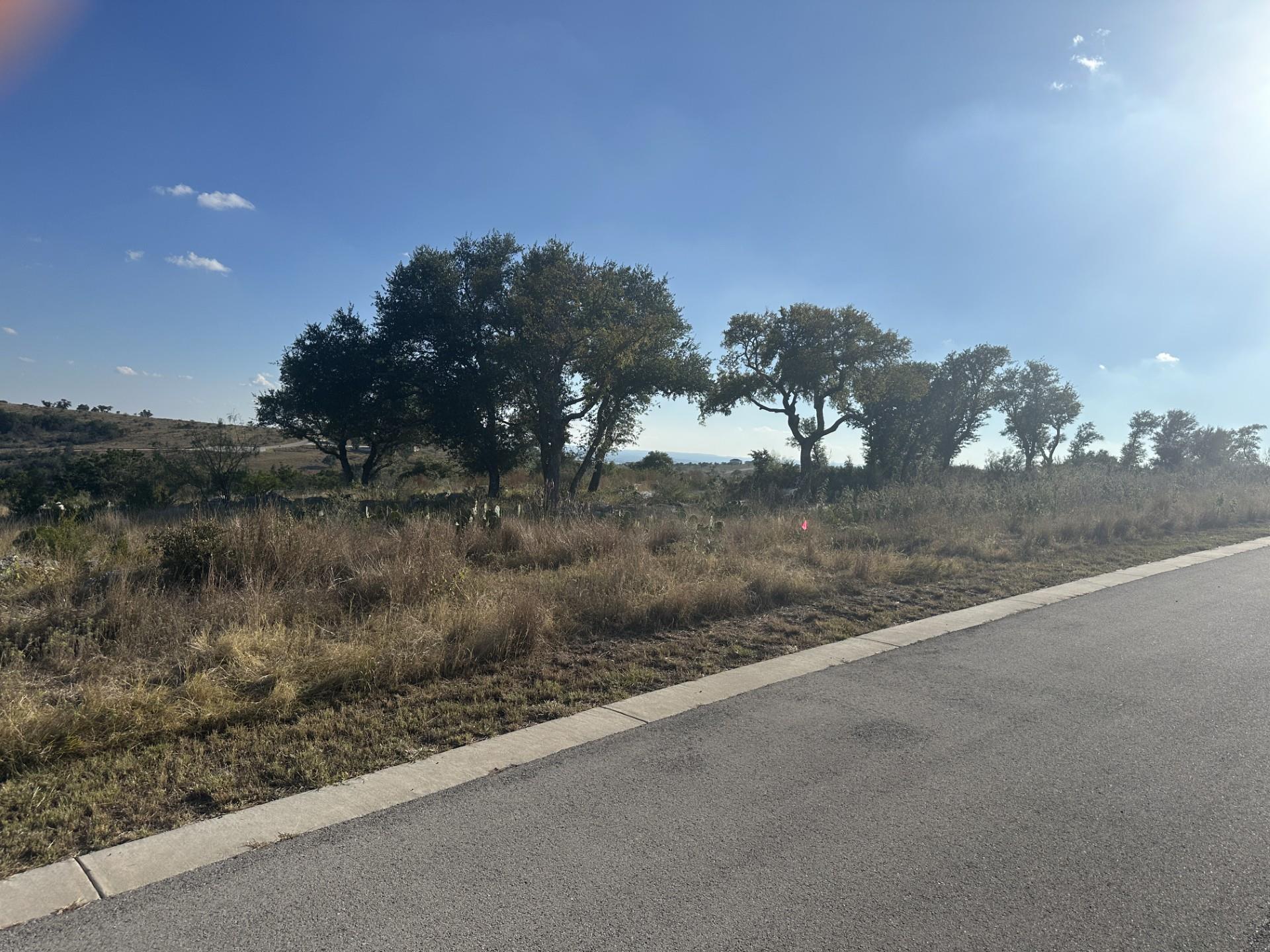 350 Big Creek Dr, Kingsland, TX 78639