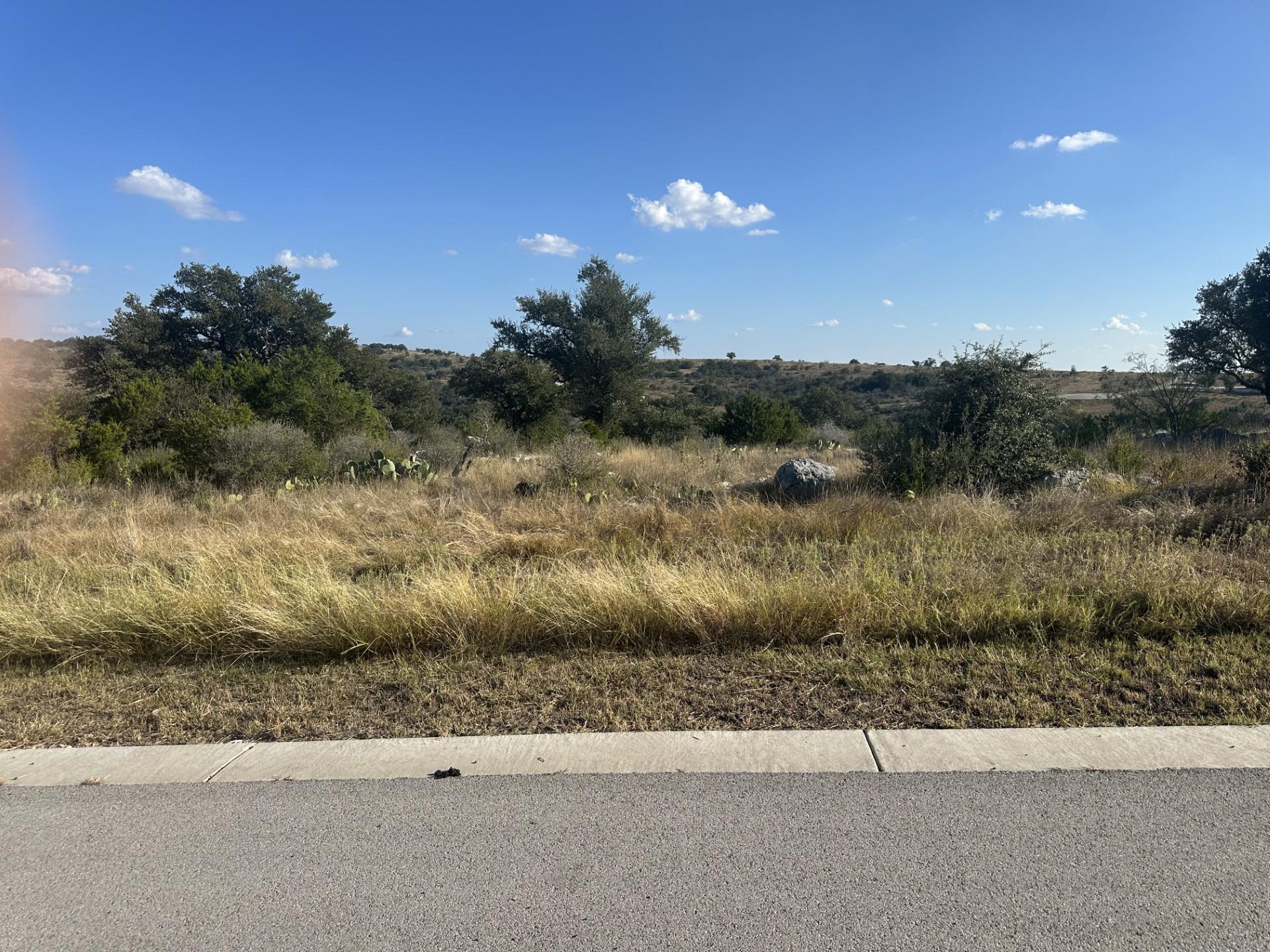 350 Big Creek Dr, Kingsland, TX 78639