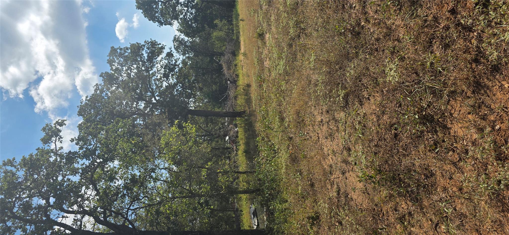 116 Red Oaks Dr, Dale, TX 78616