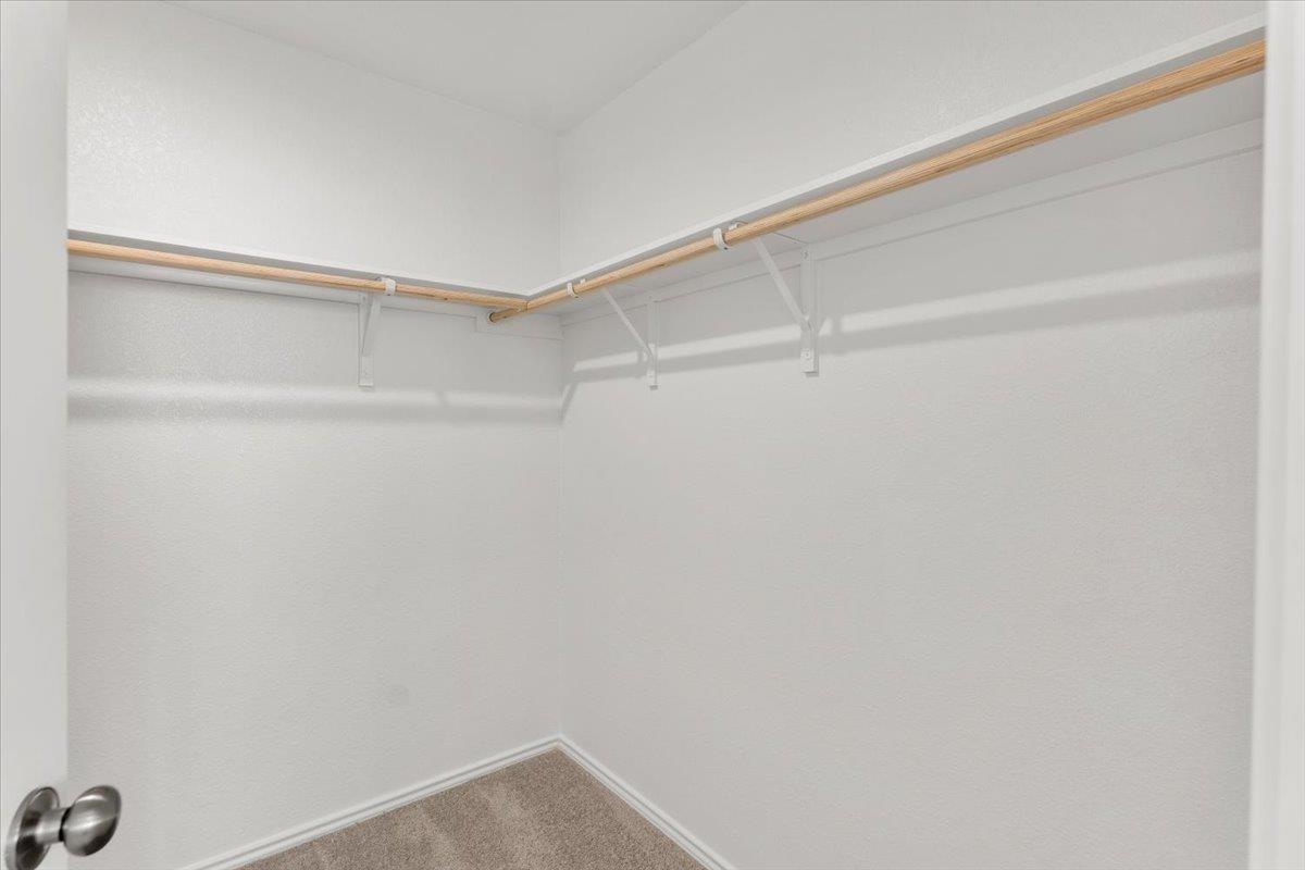 17701 Sage Thrasher Dr, Pflugerville, TX 78660