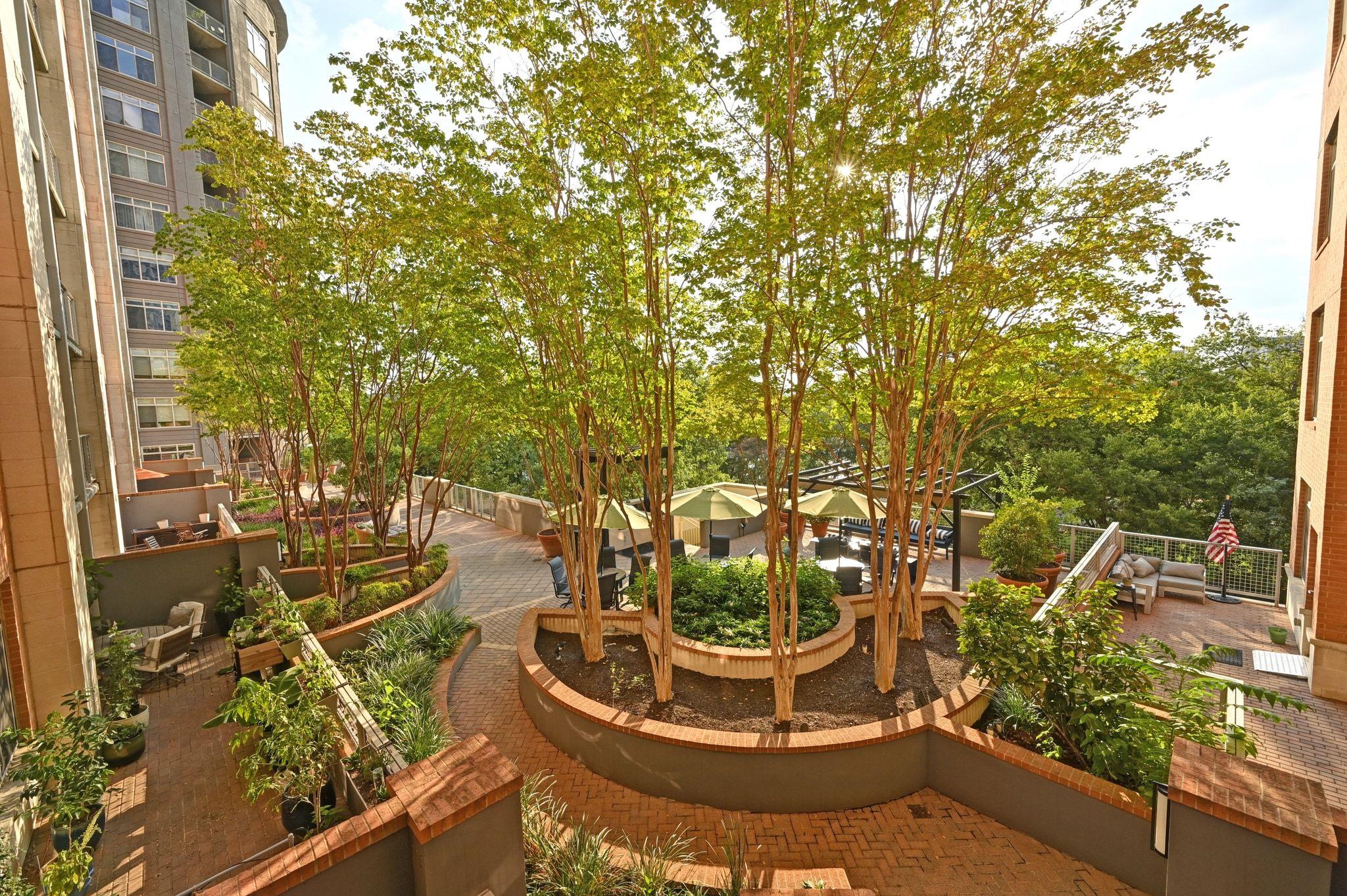 54 Rainey St # 416, Austin, TX 78701