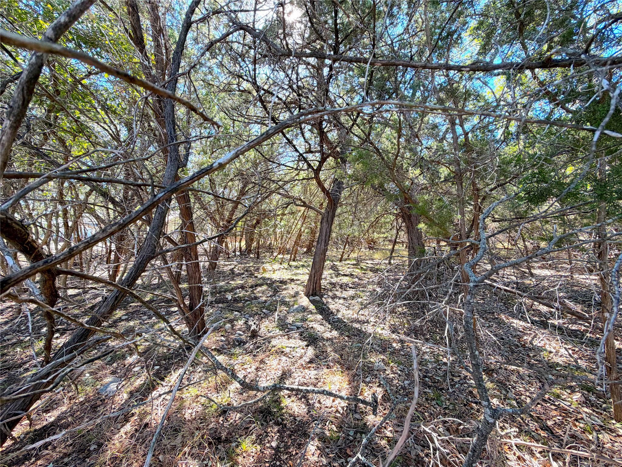 426 Clay Rdg, Canyon Lake, TX 78133