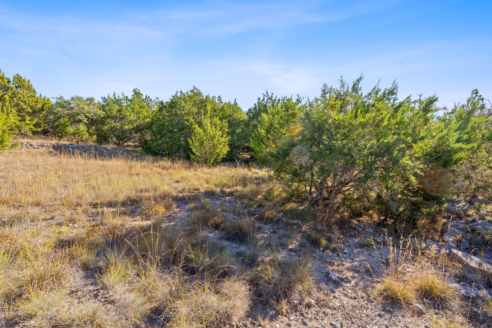 220 Harmon Hills Rd, Dripping Springs, TX 78620