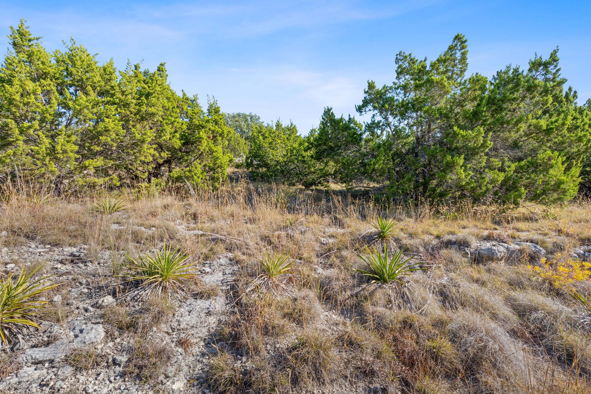 220 Harmon Hills Rd, Dripping Springs, TX 78620