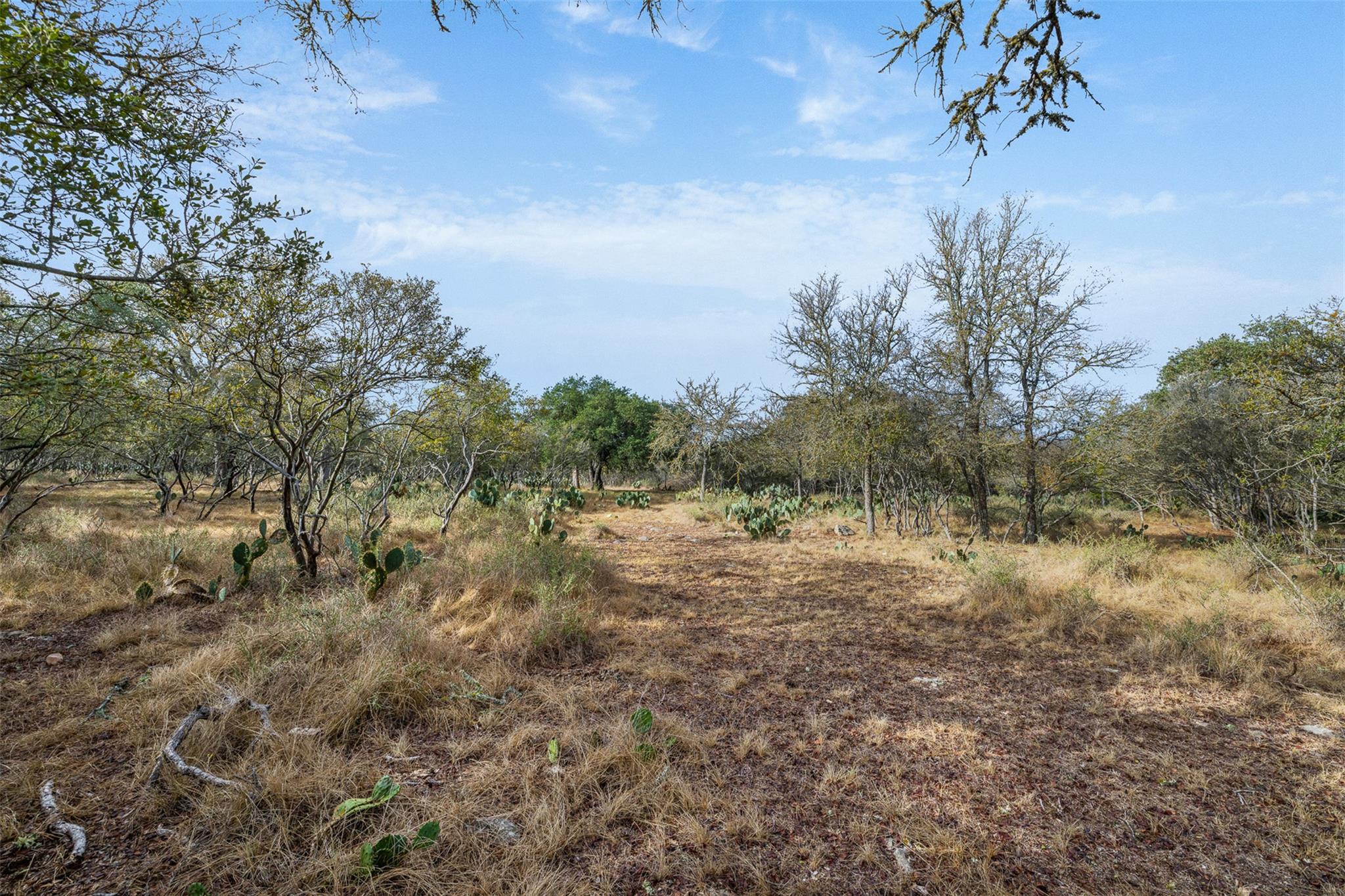 3801 W Fm 150, Kyle, TX 78640