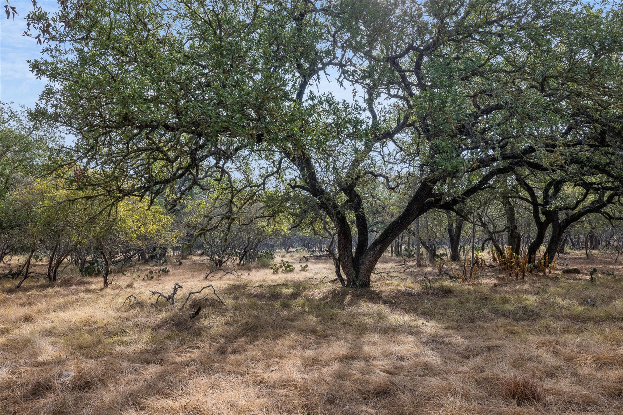 3801 W Fm 150, Kyle, TX 78640