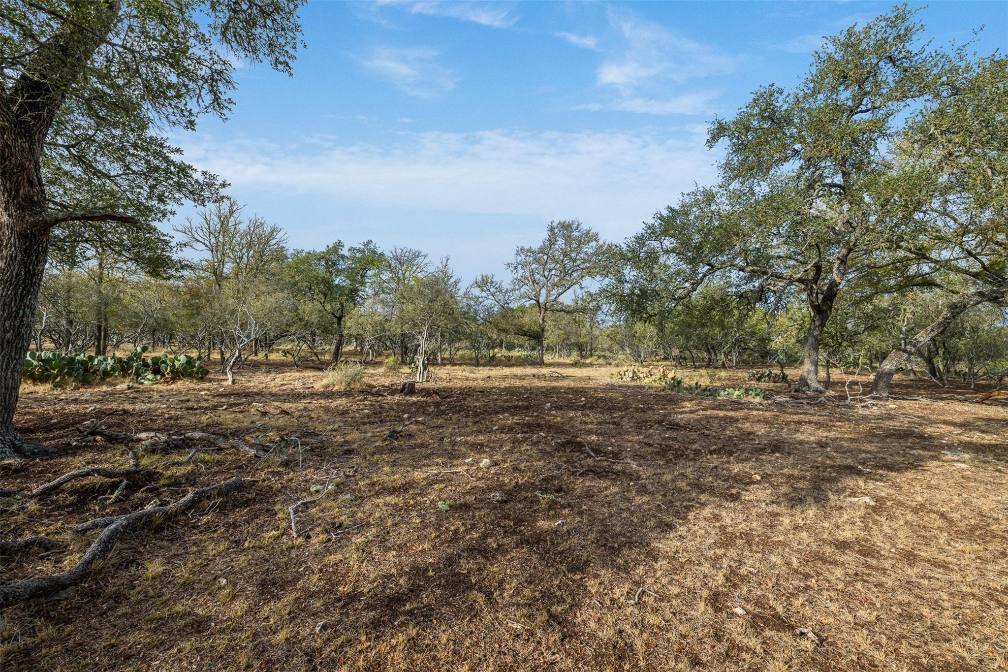 3801 W Fm 150, Kyle, TX 78640