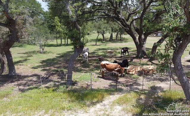 550 Windmill Ridge Dr Dr, Blanco, TX 78606