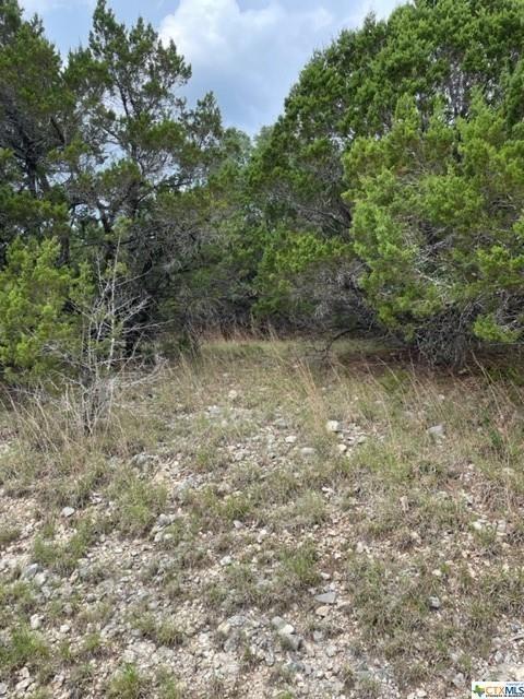 475 Village Top, Canyon Lake, TX 78133