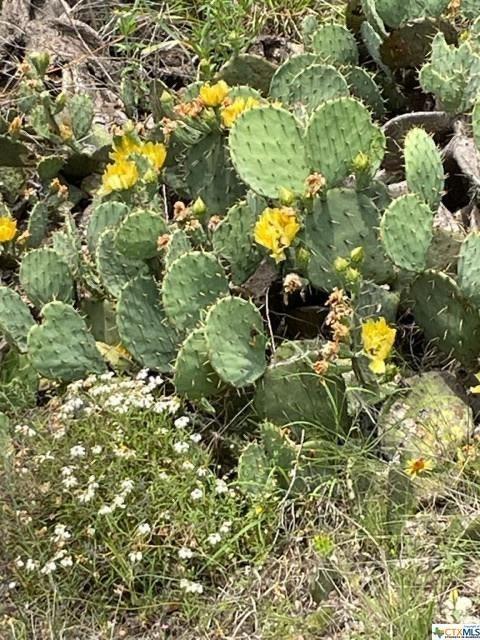 475 Village Top, Canyon Lake, TX 78133