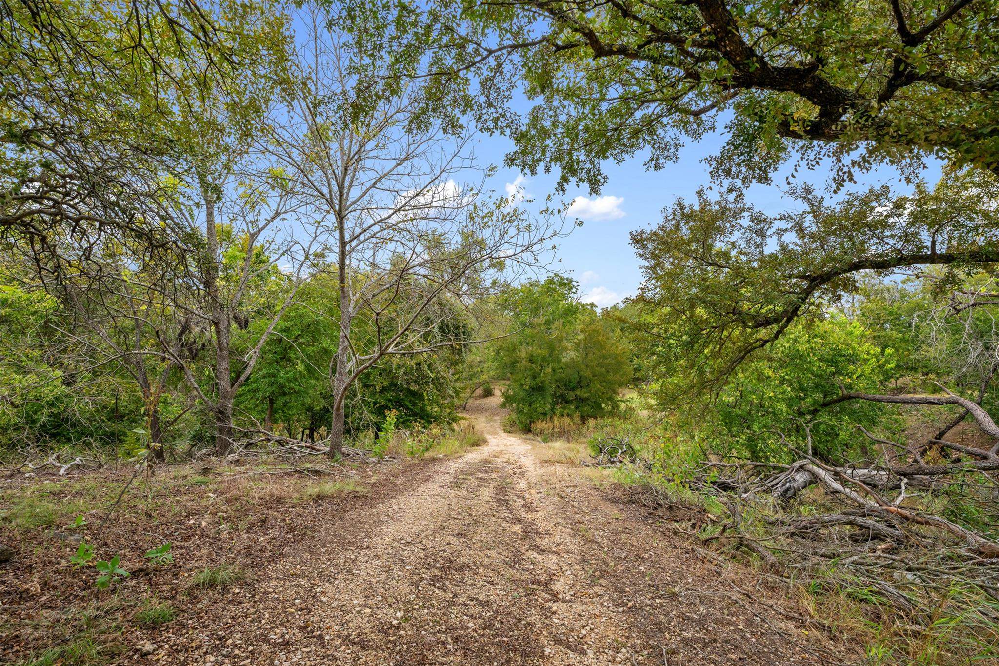 15798 E Fm 2843, Salado, TX 76571