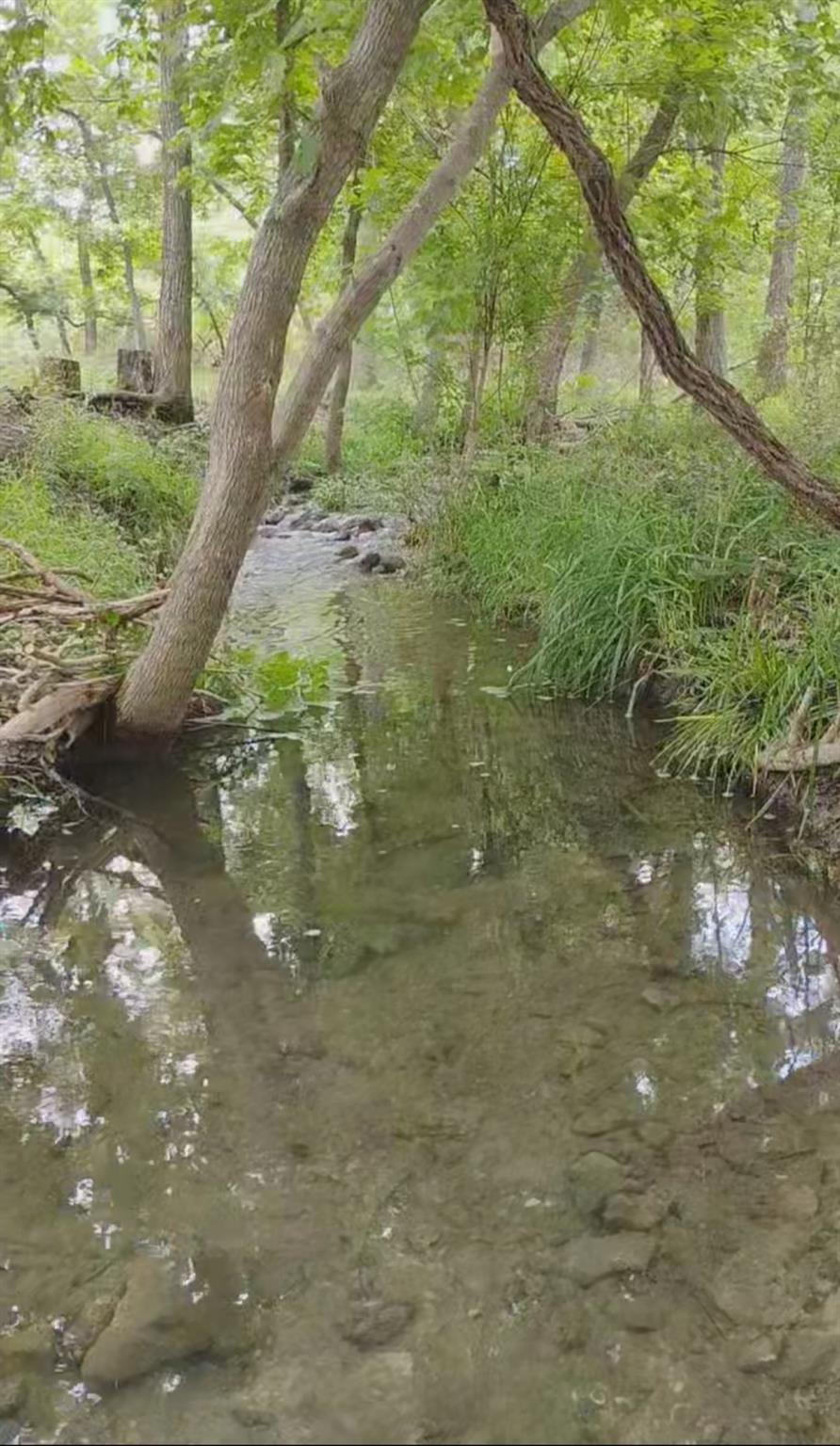 15798 E Fm 2843, Salado, TX 76571