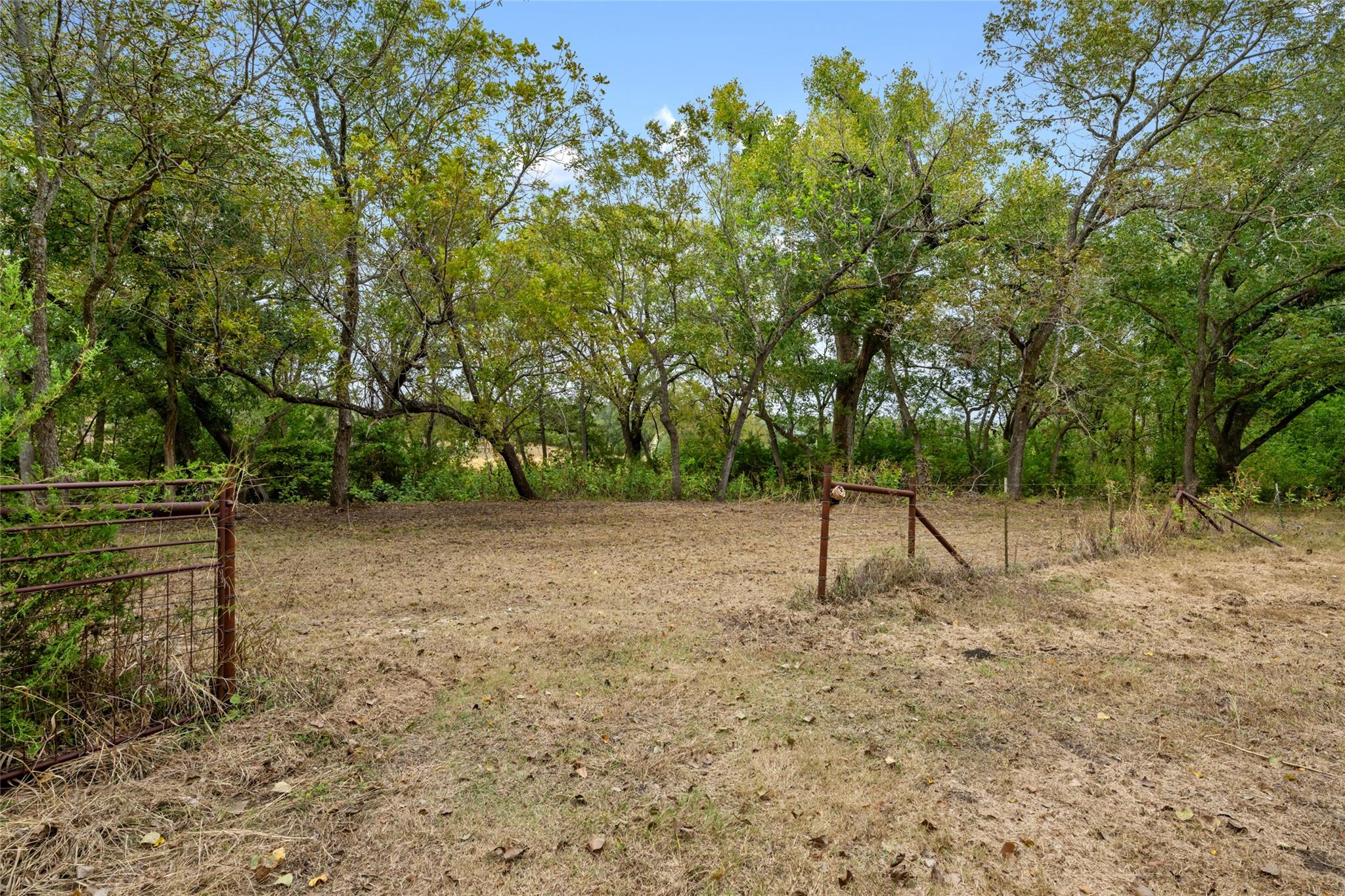 15798 E Fm 2843, Salado, TX 76571