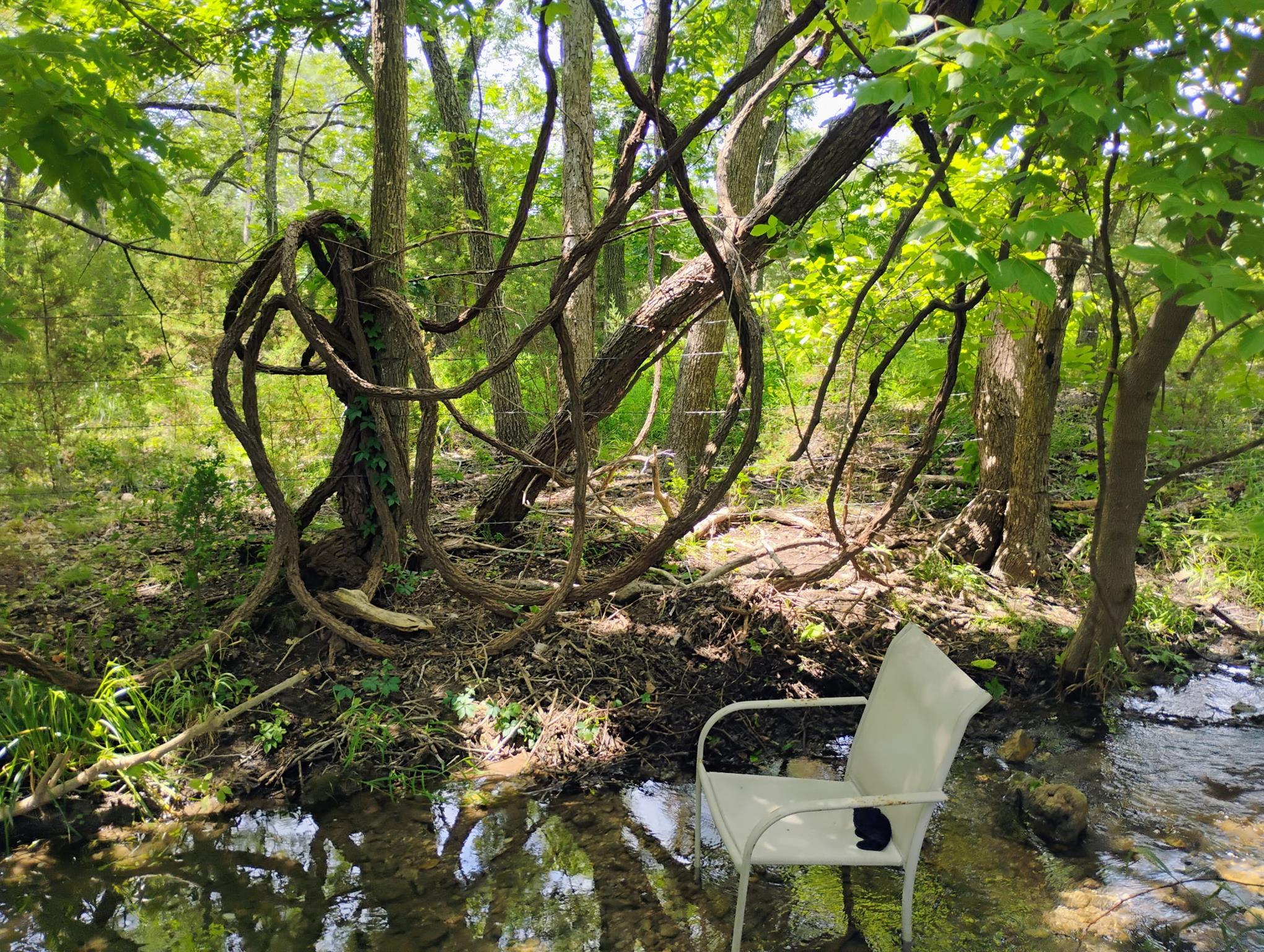 15798 E Fm 2843, Salado, TX 76571