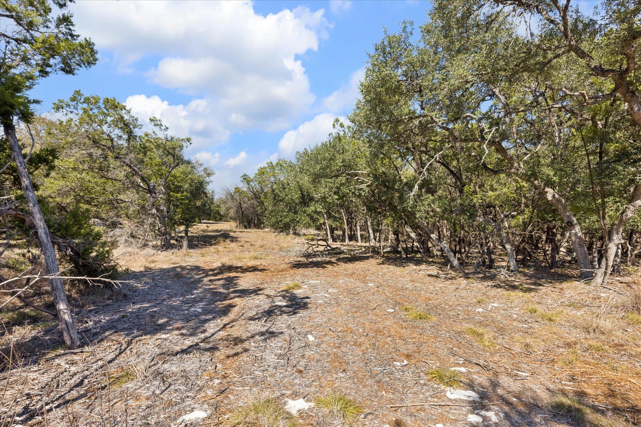 2224 Misty Holw, New Braunfels, TX 78132