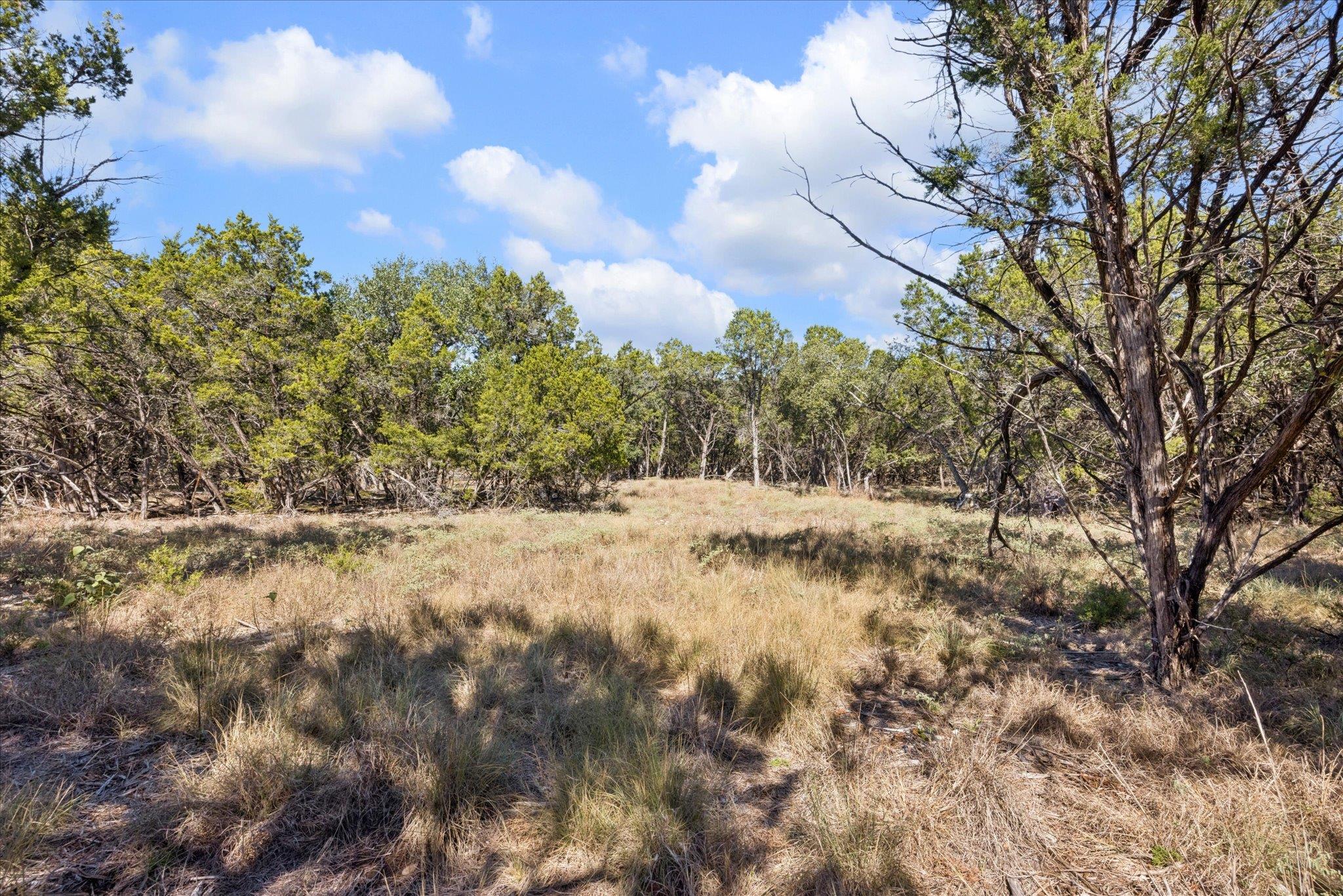 2224 Misty Holw, New Braunfels, TX 78132