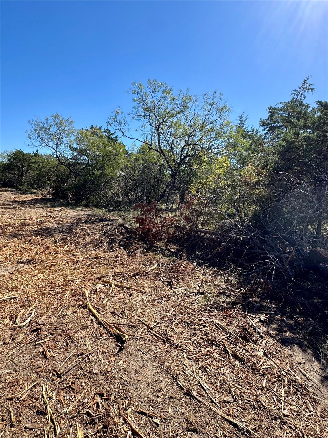 TBD Lot 4 Patterson Rd, Flatonia, TX 78941