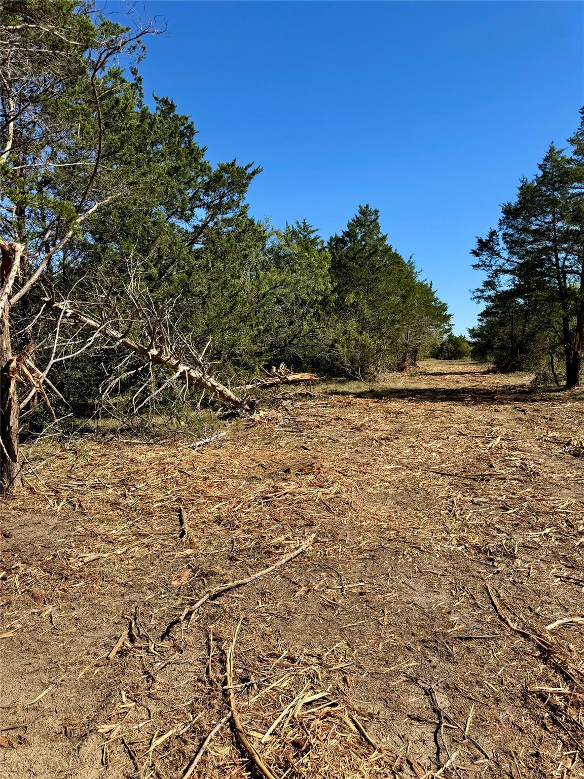 TBD Lot 4 Patterson Rd, Flatonia, TX 78941