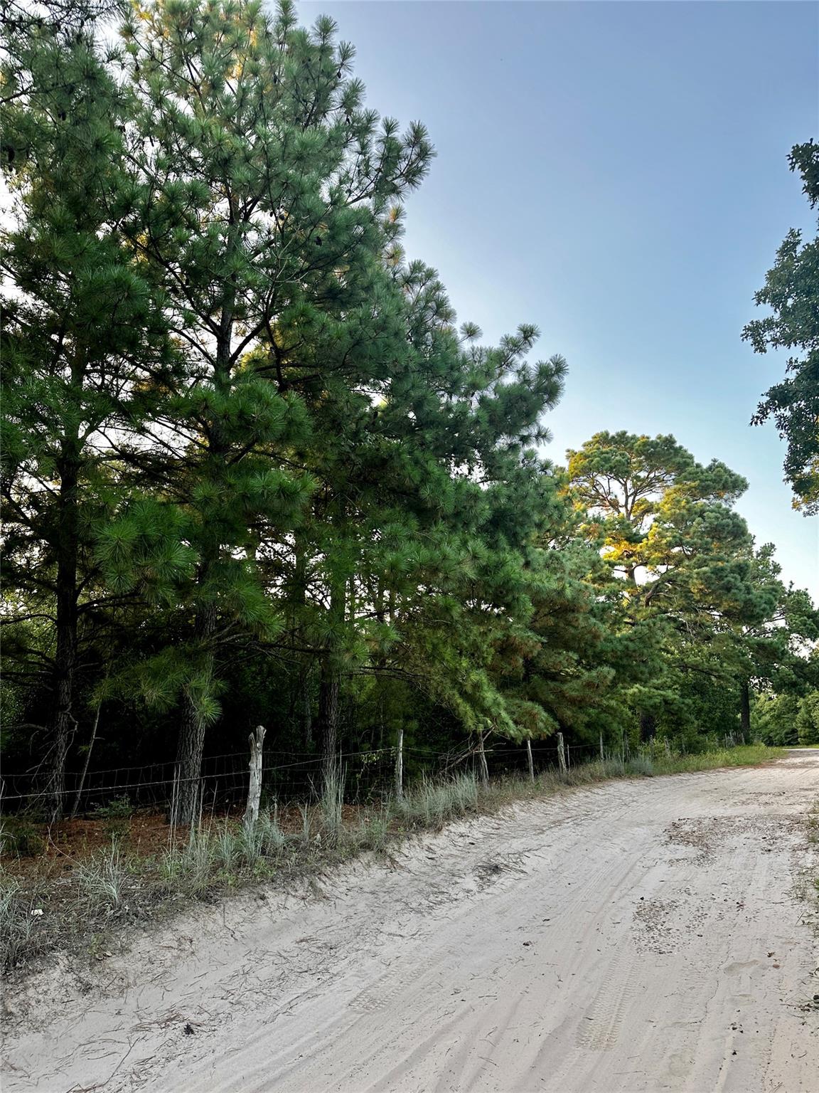 TBD Private Road 4361, Dime Box, TX 77853