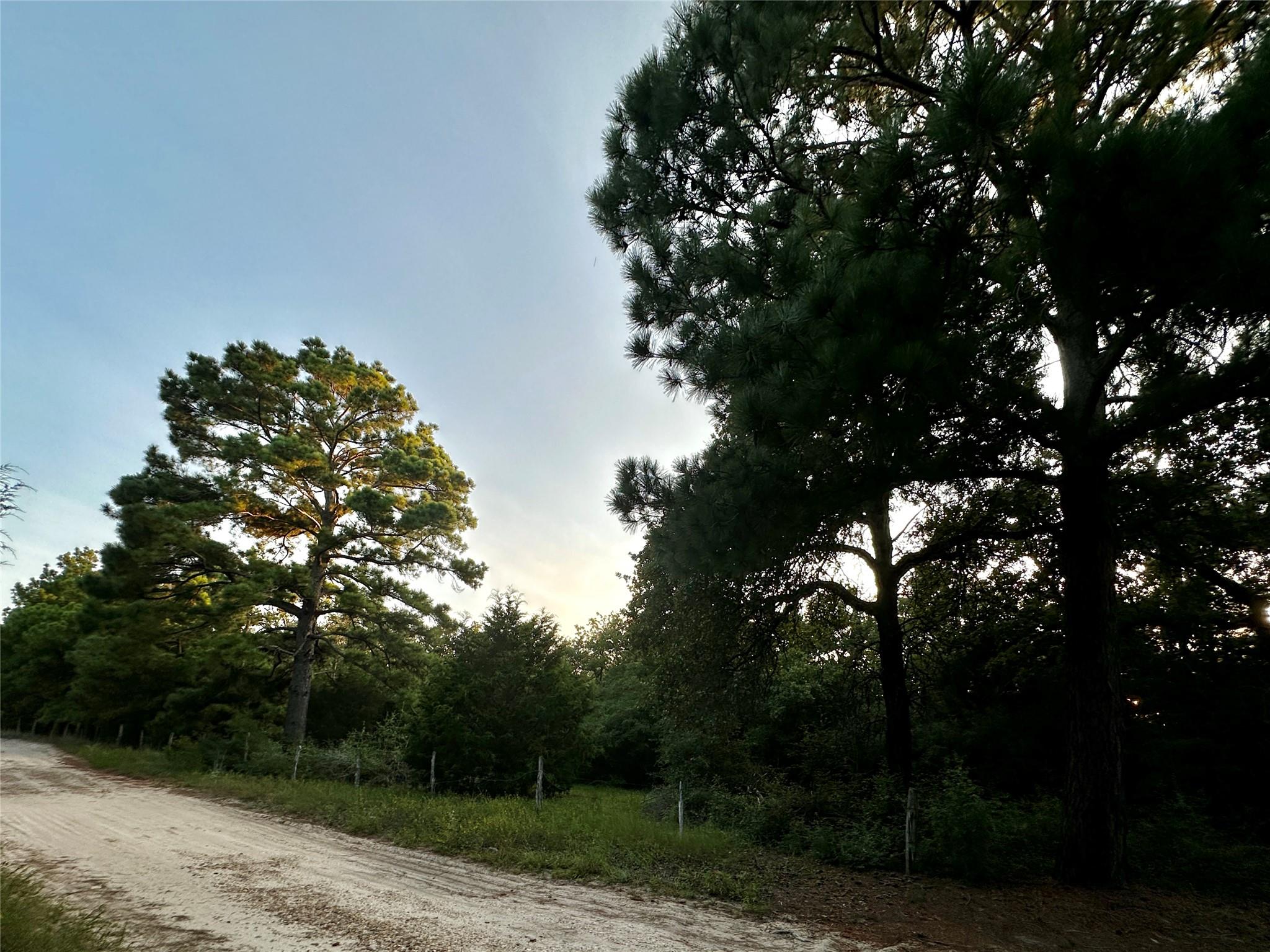 TBD Private Road 4361, Dime Box, TX 77853