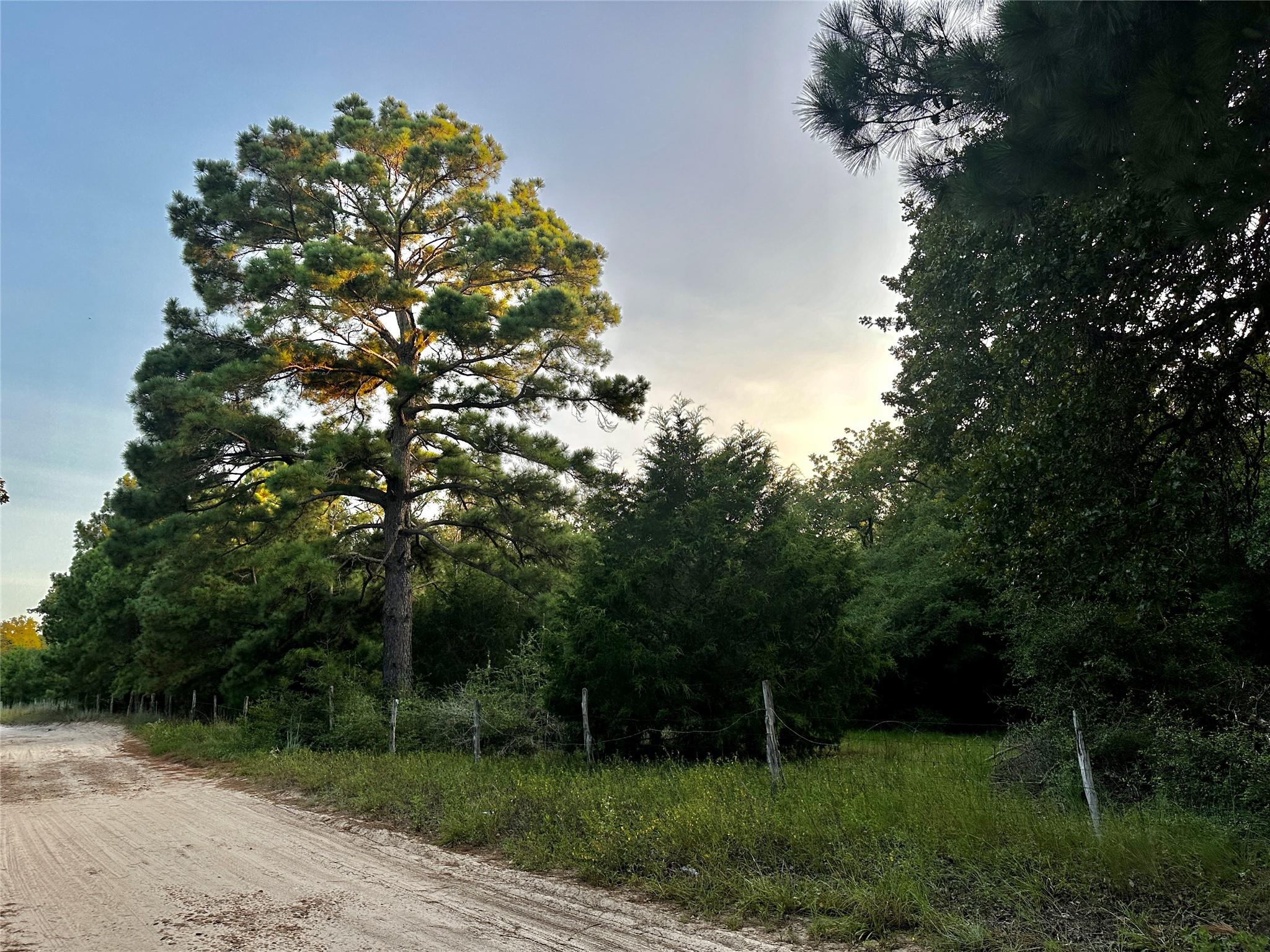 TBD Private Road 4361, Dime Box, TX 77853