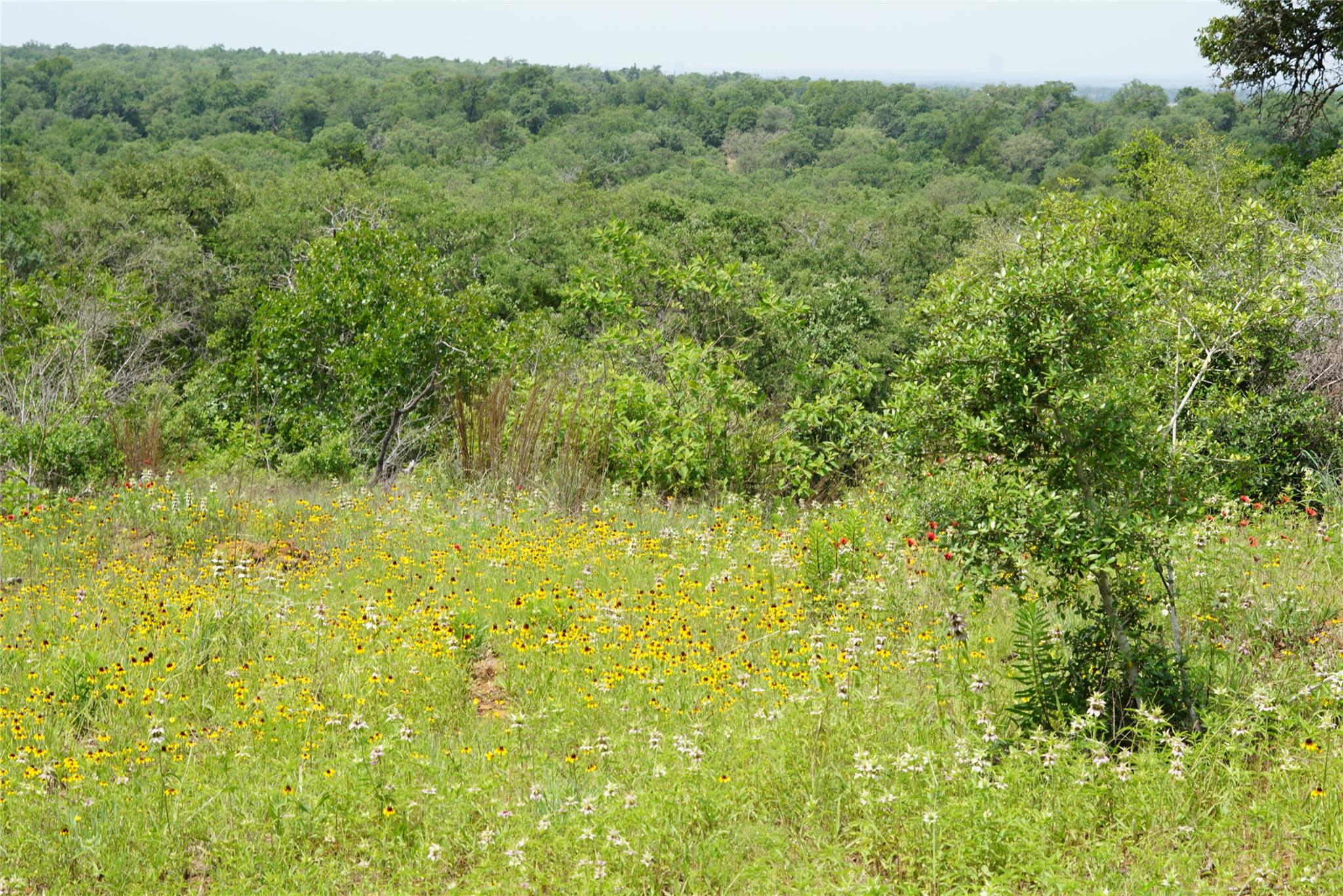 TBD County Road 322, Rockdale, TX 76567