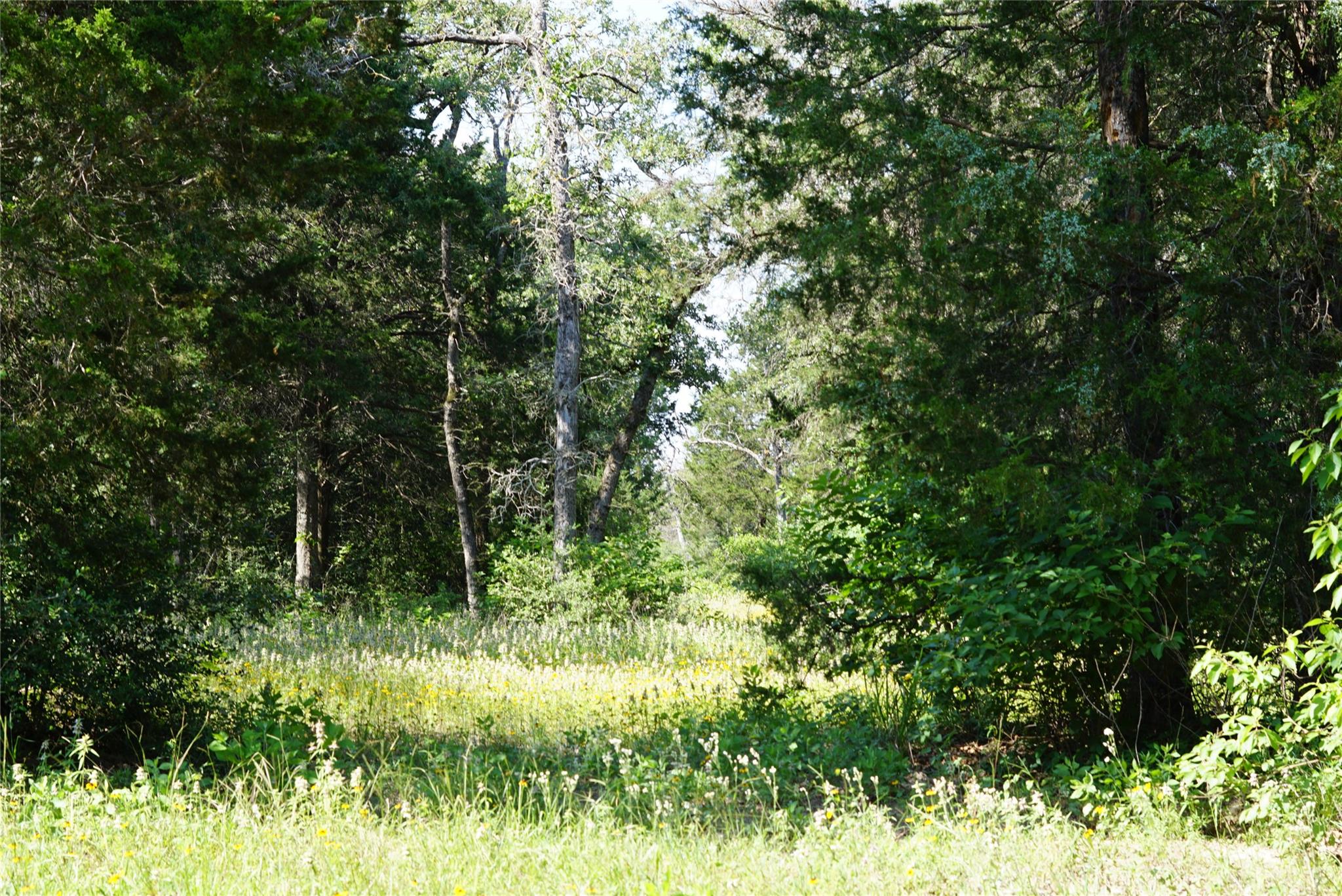 TBD County Road 322, Rockdale, TX 76567